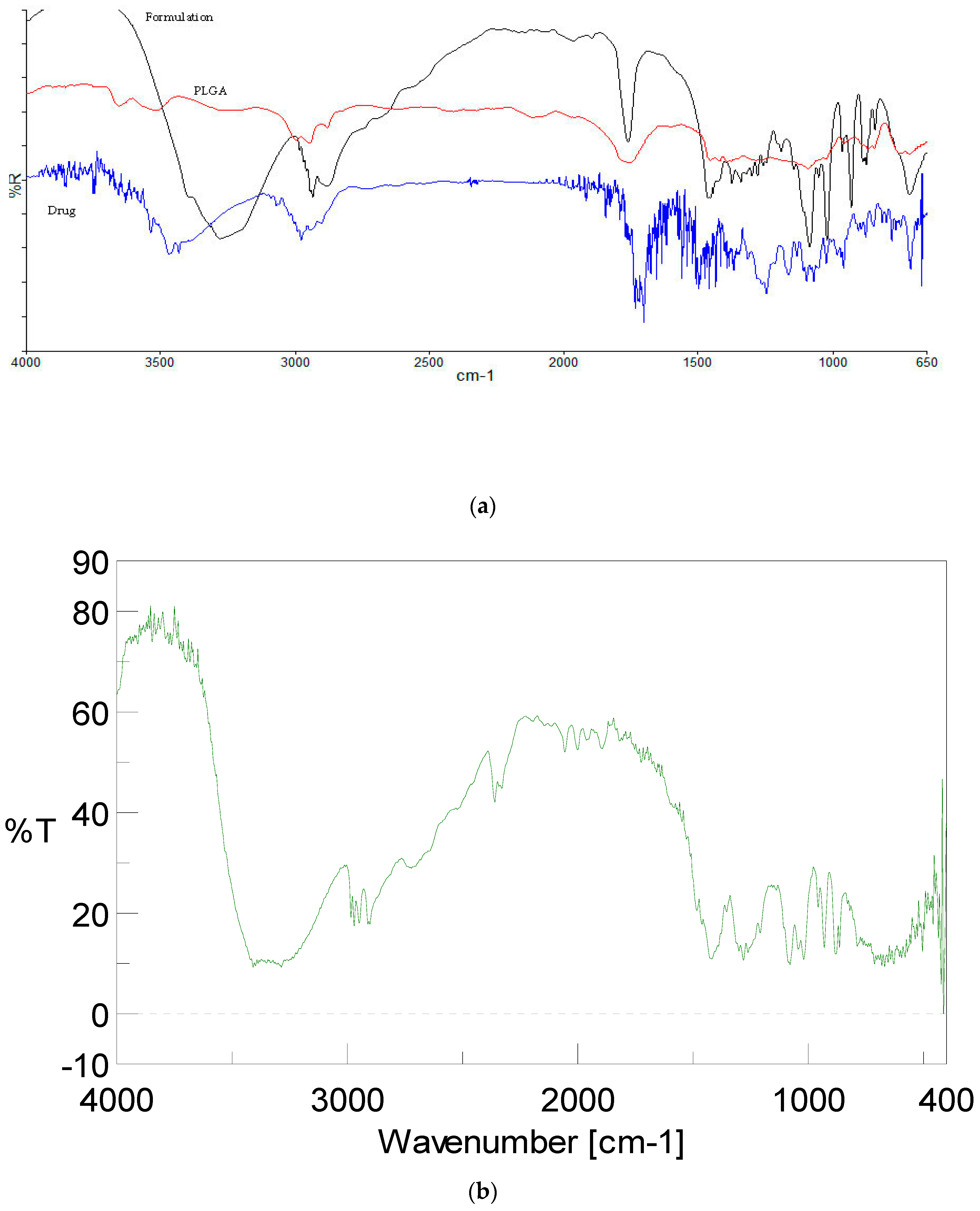 Medicina 55 00294 g005