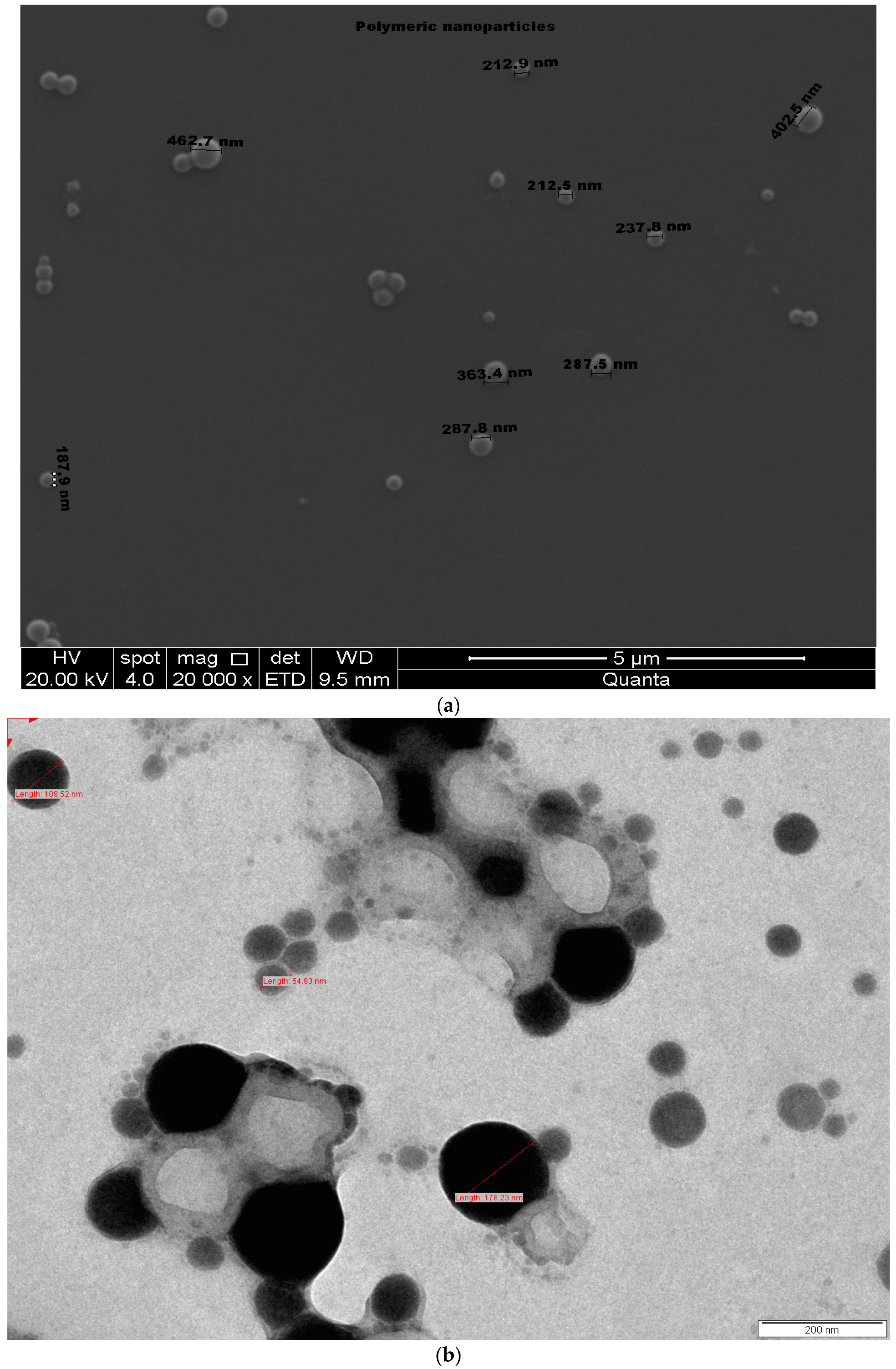 Medicina 55 00294 g008a