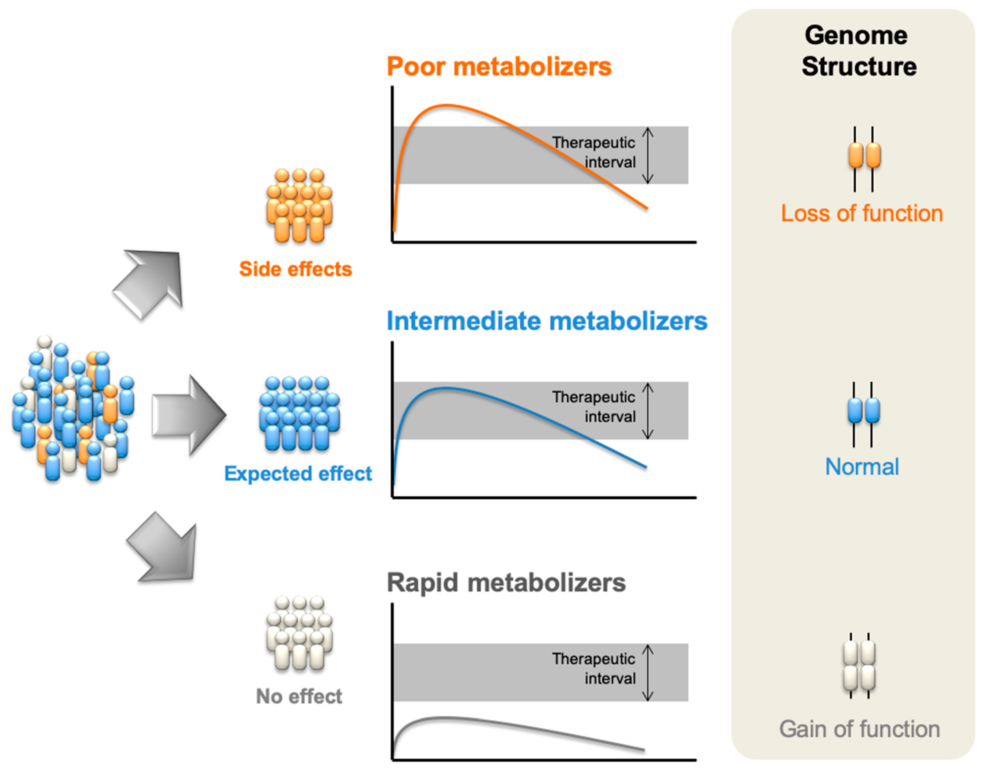 Medicina 55 00344 g001