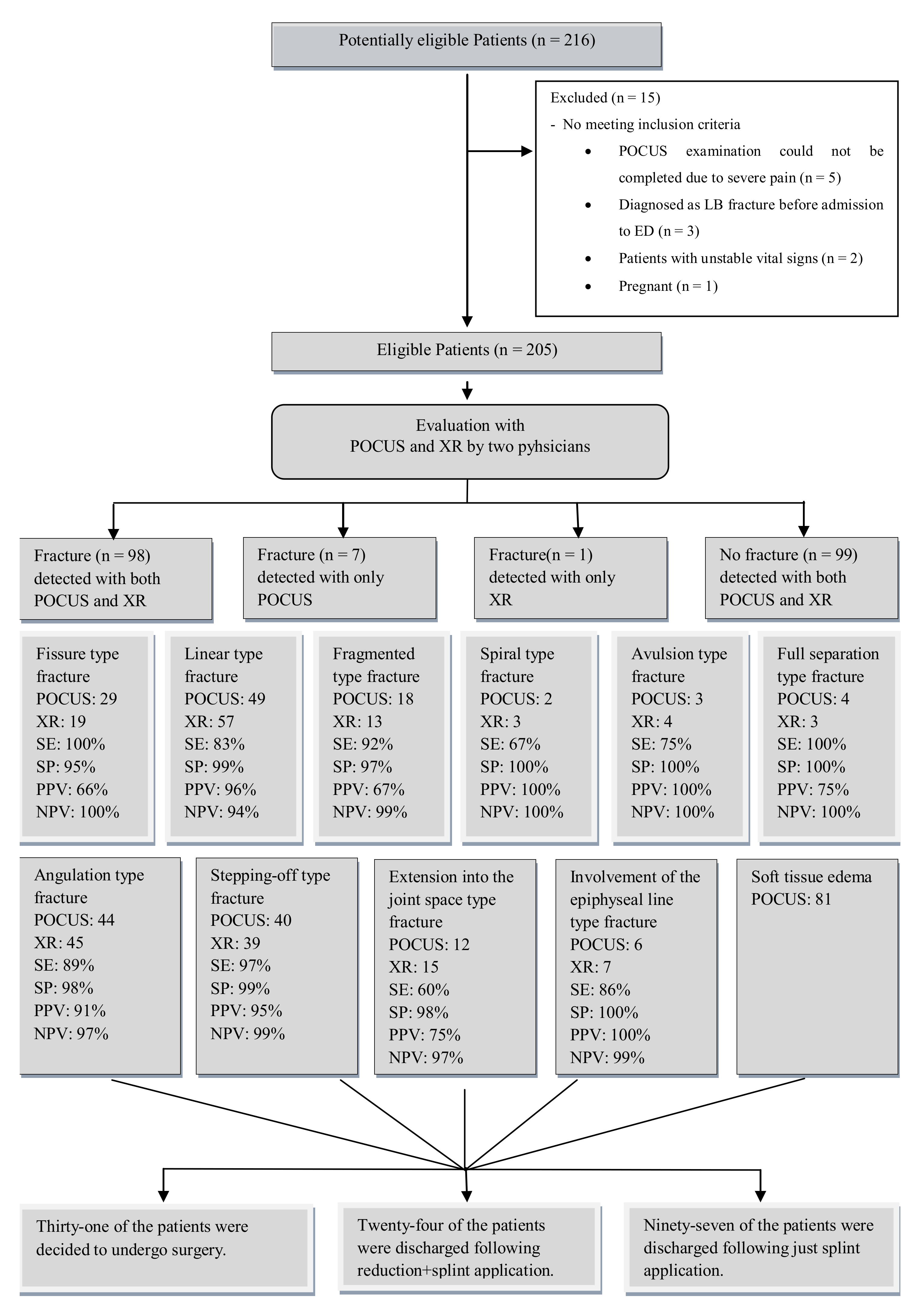 Medicina 55 00355 g001