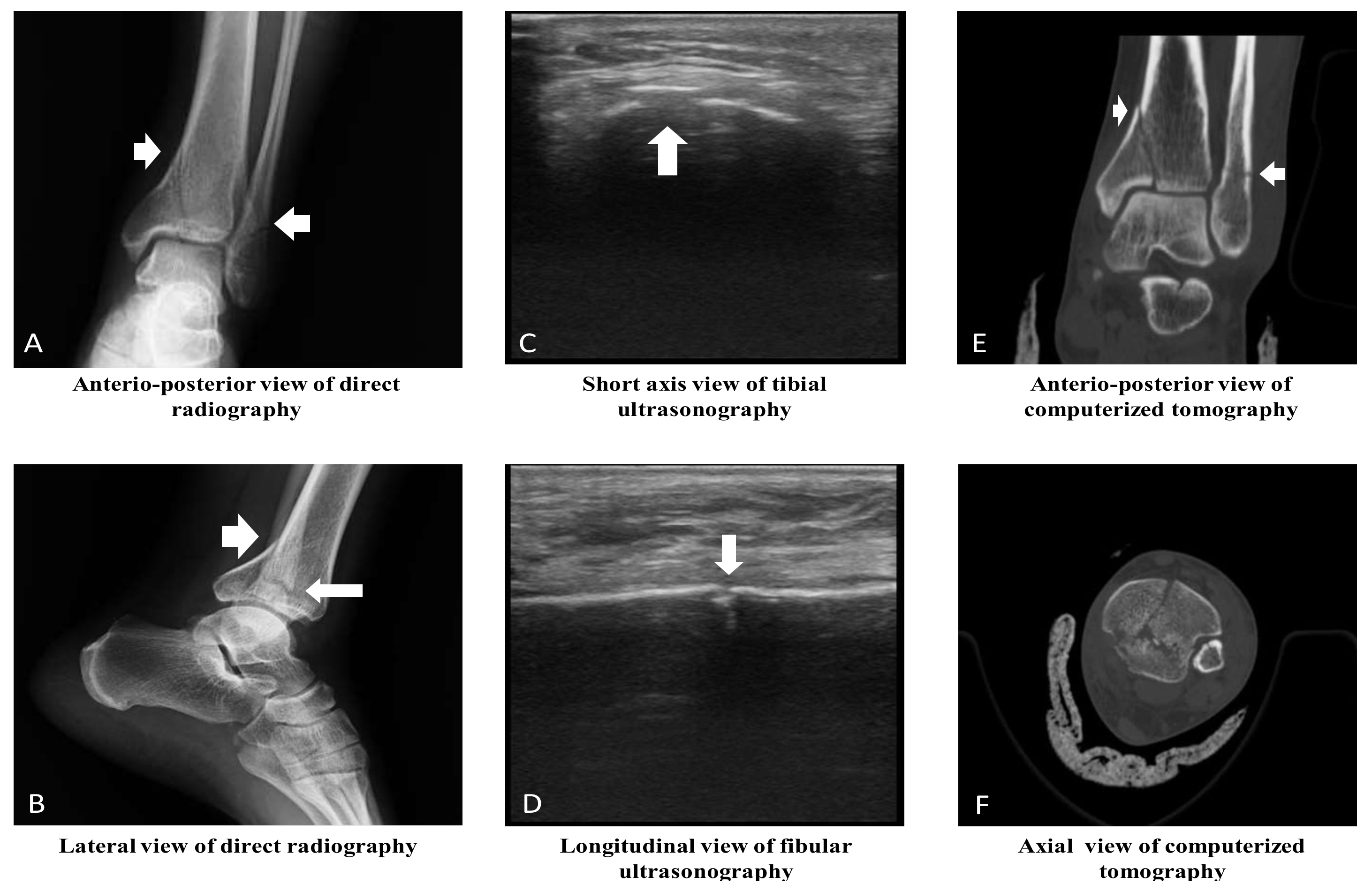 Medicina 55 00355 g002
