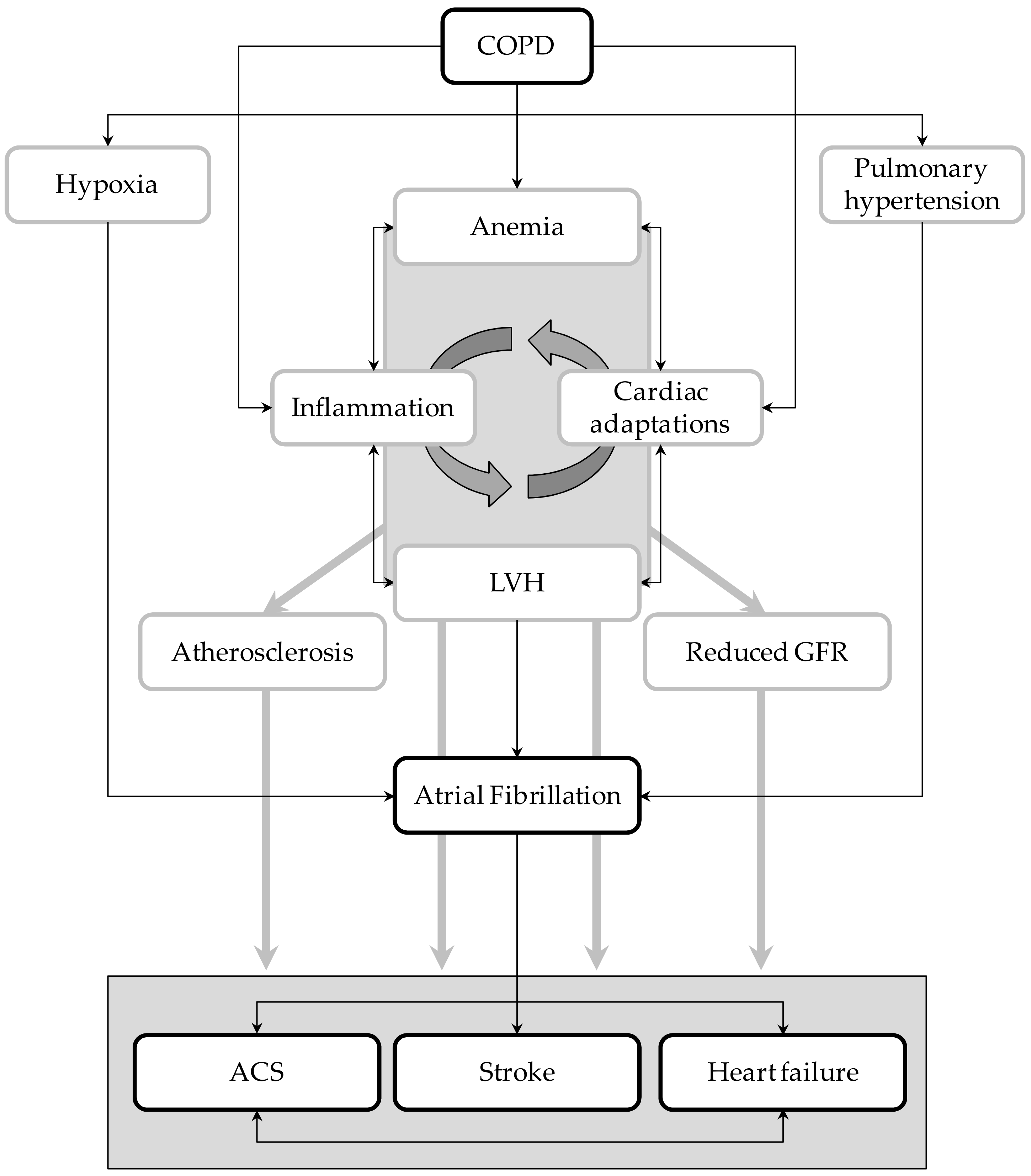 Medicina 55 00358 g004