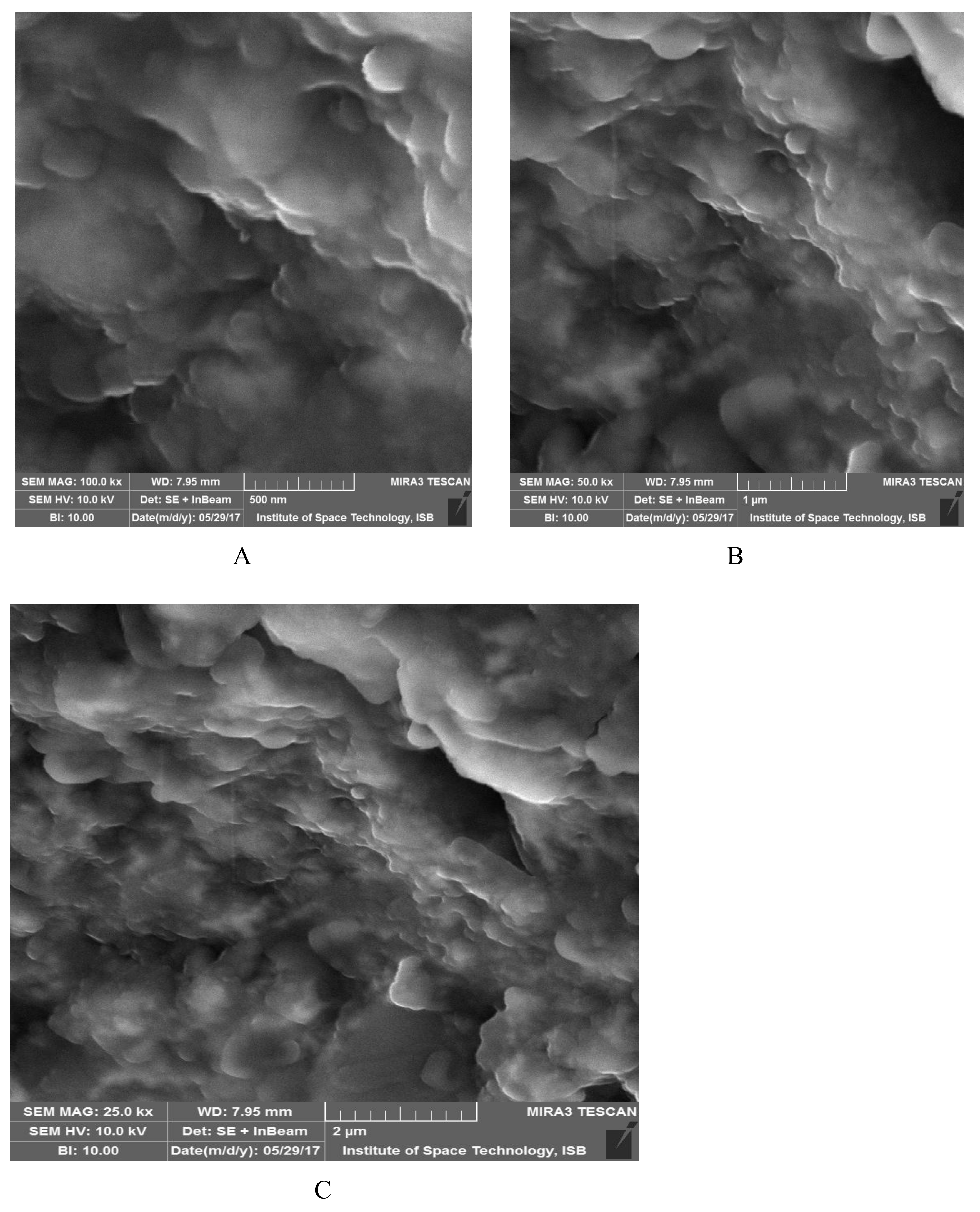 Medicina 55 00369 g004