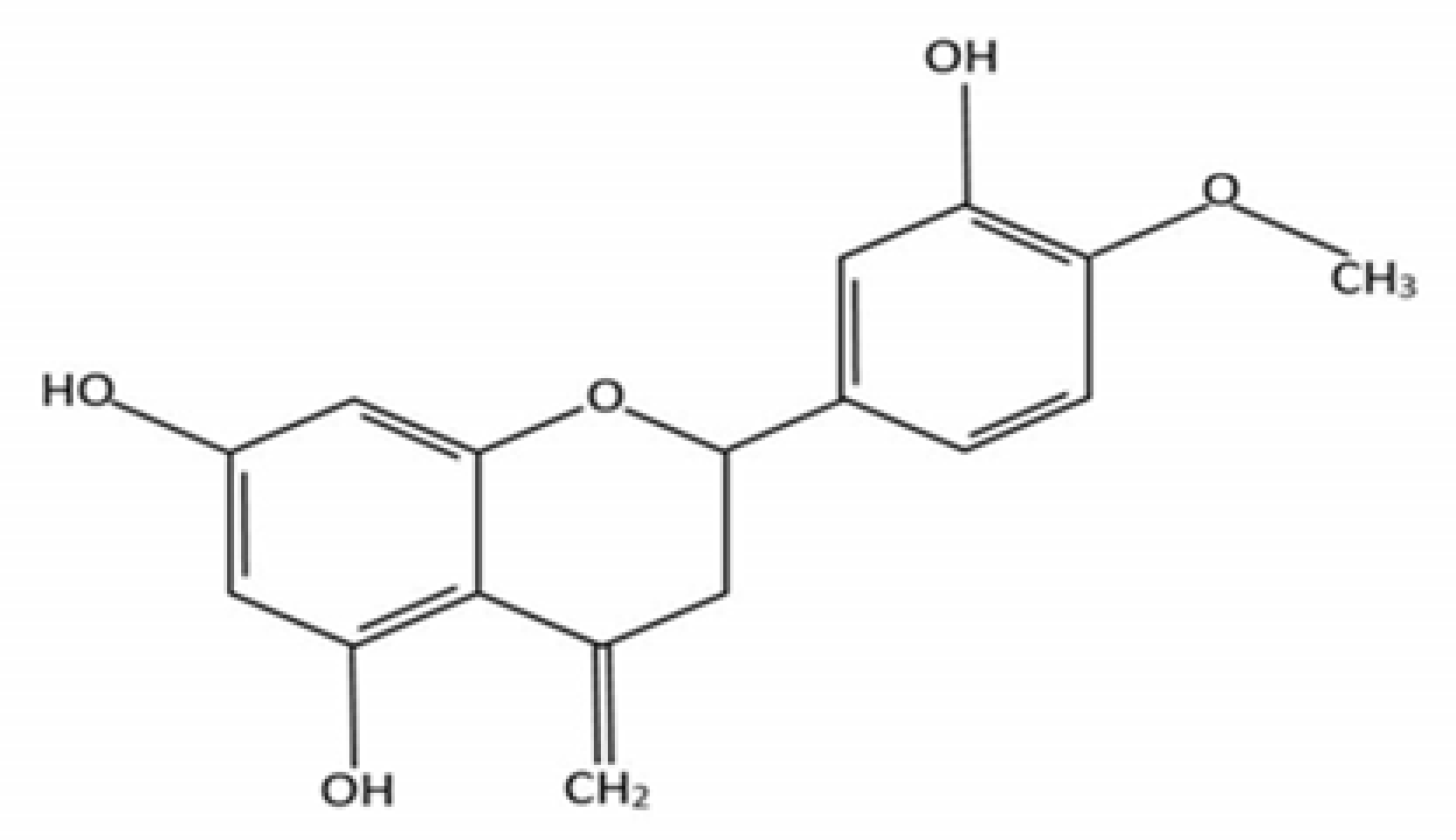 Medicina 55 00370 g001 Medicina 55 00370 g001