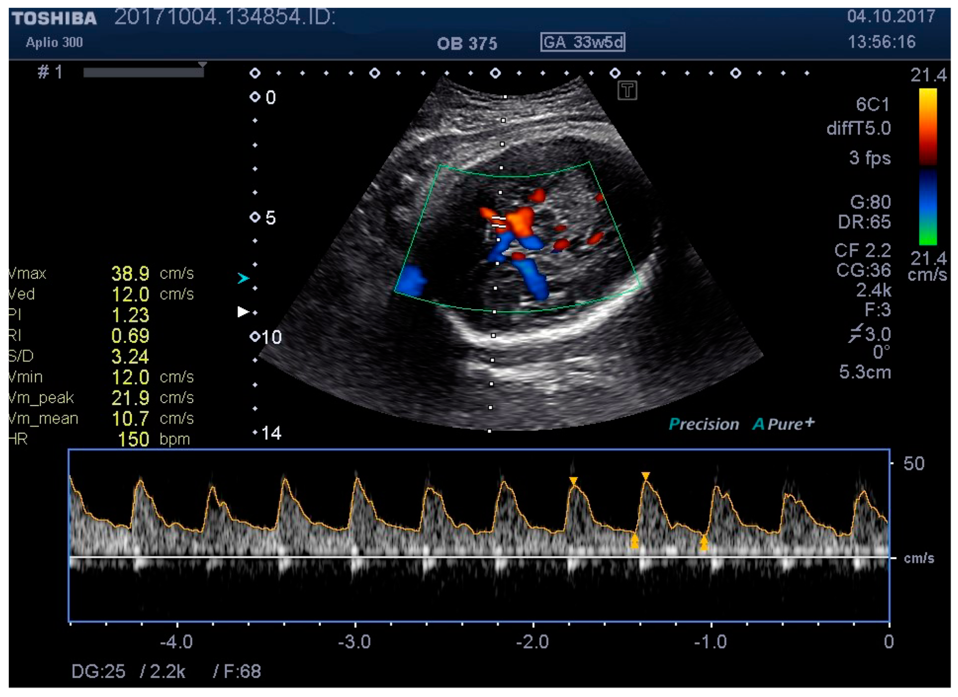 Medicina 55 00410 g005