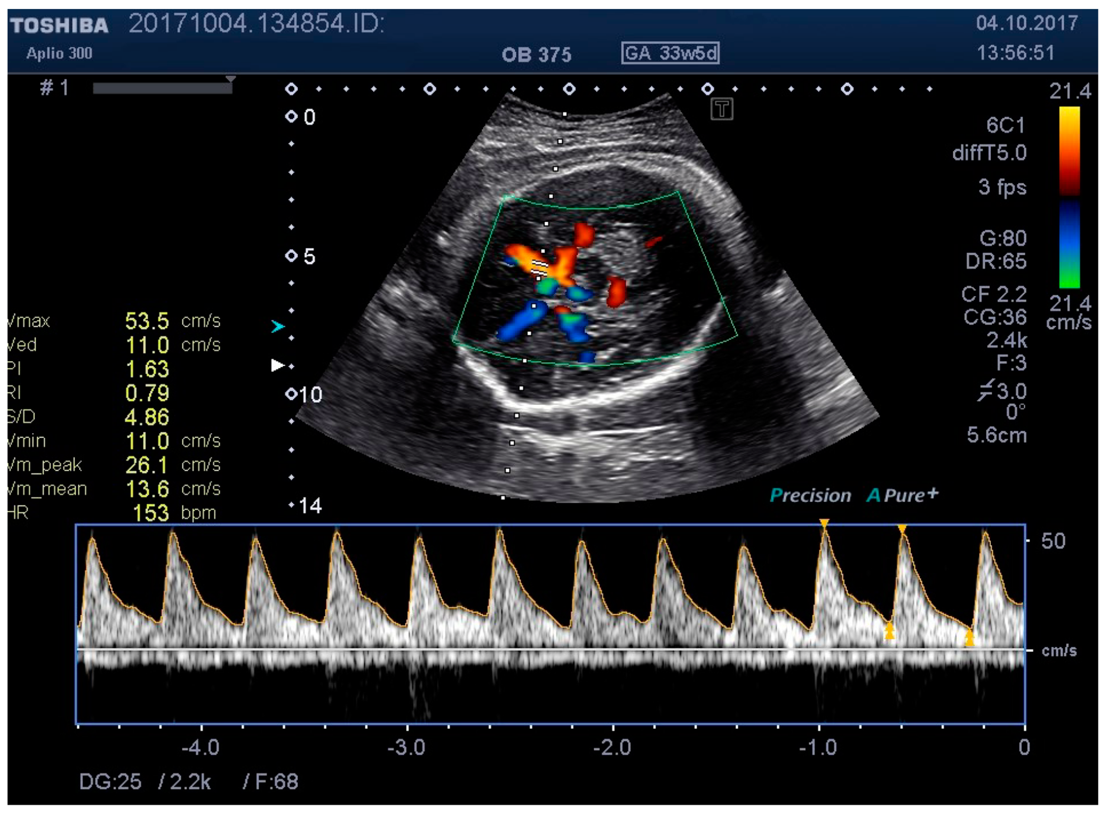 Medicina 55 00410 g006