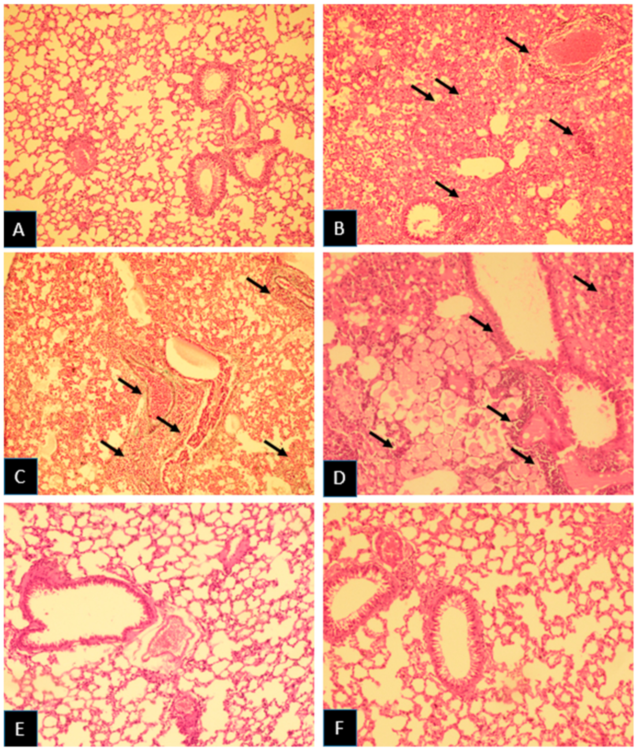 Medicina 55 00417 g001