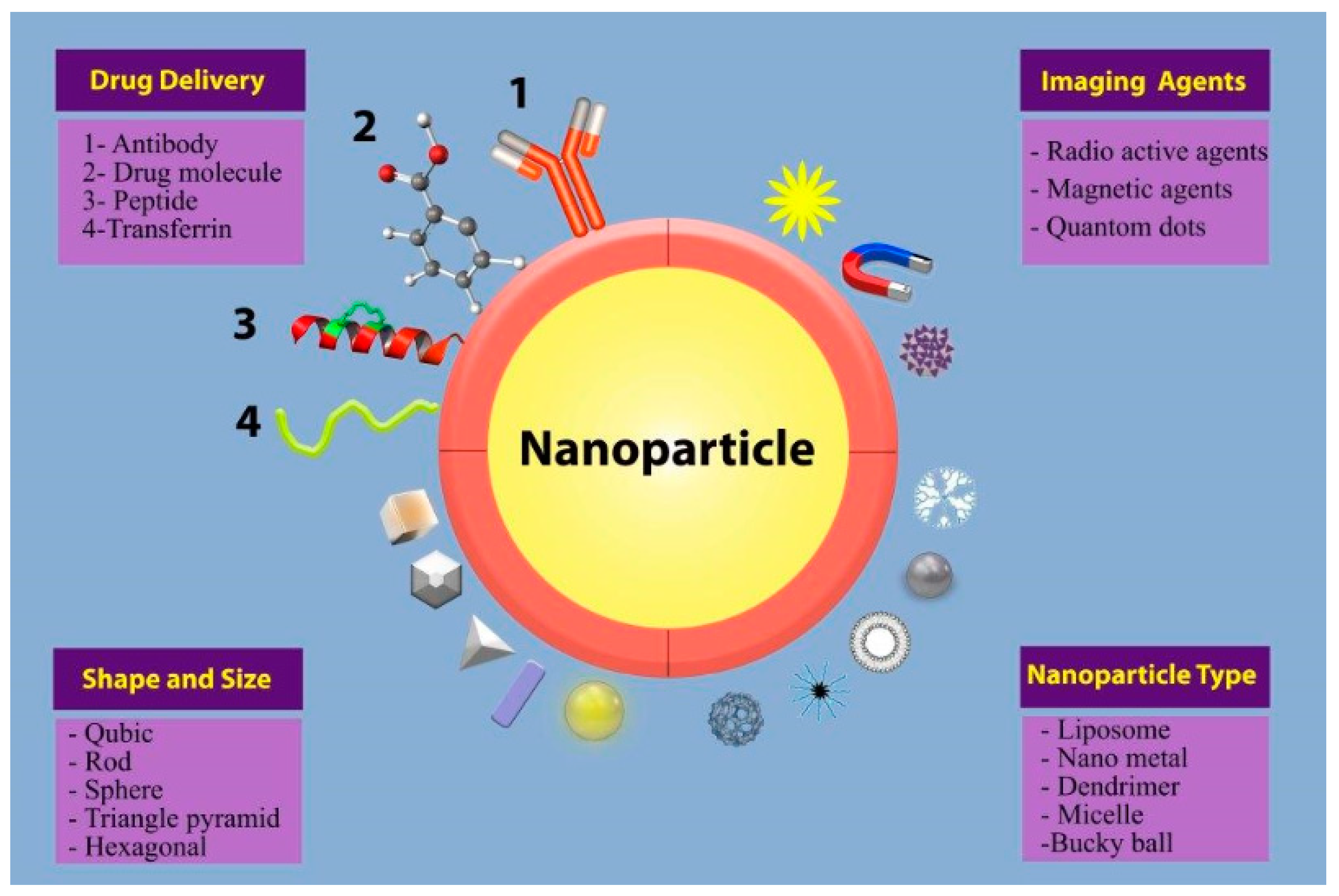 Medicina 55 00439 g001 Medicina 55 00439 g001