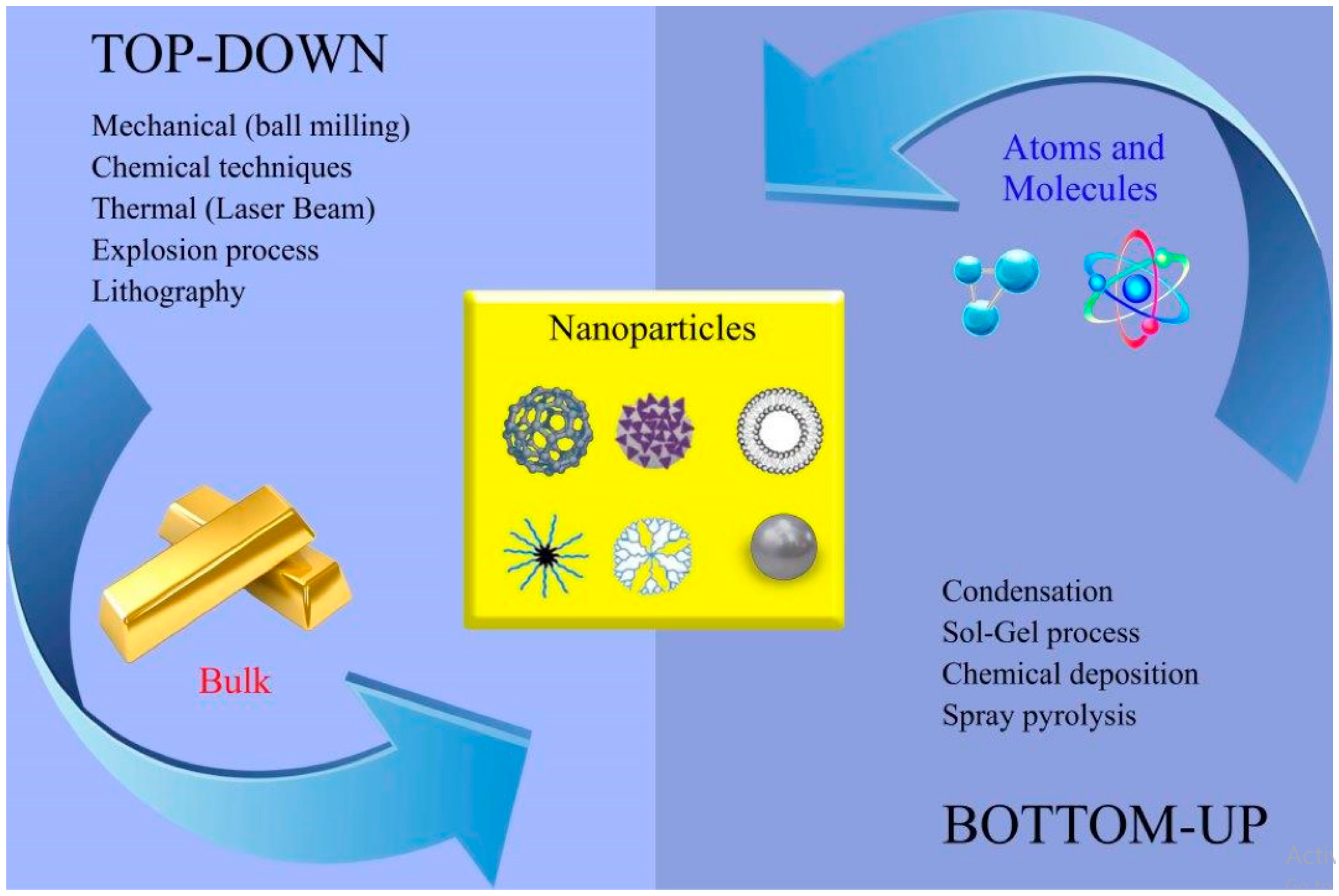 Medicina 55 00439 g002 Medicina 55 00439 g002
