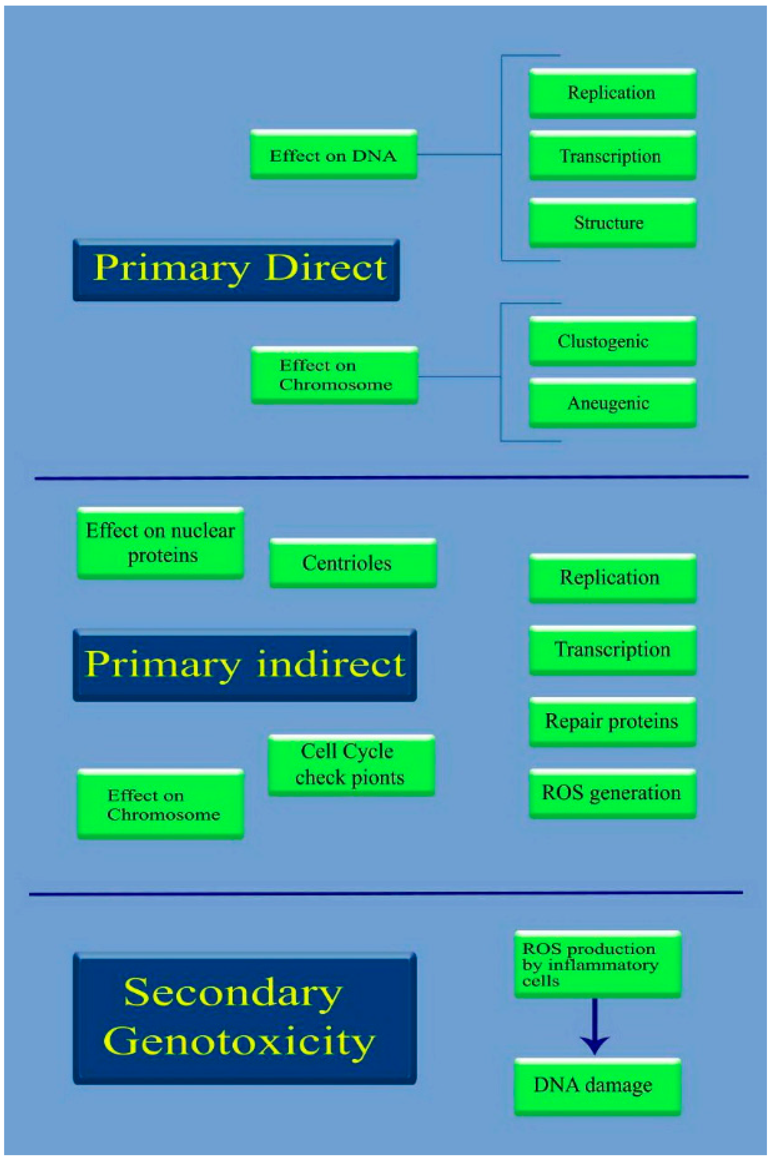 Medicina 55 00439 g005 Medicina 55 00439 g005
