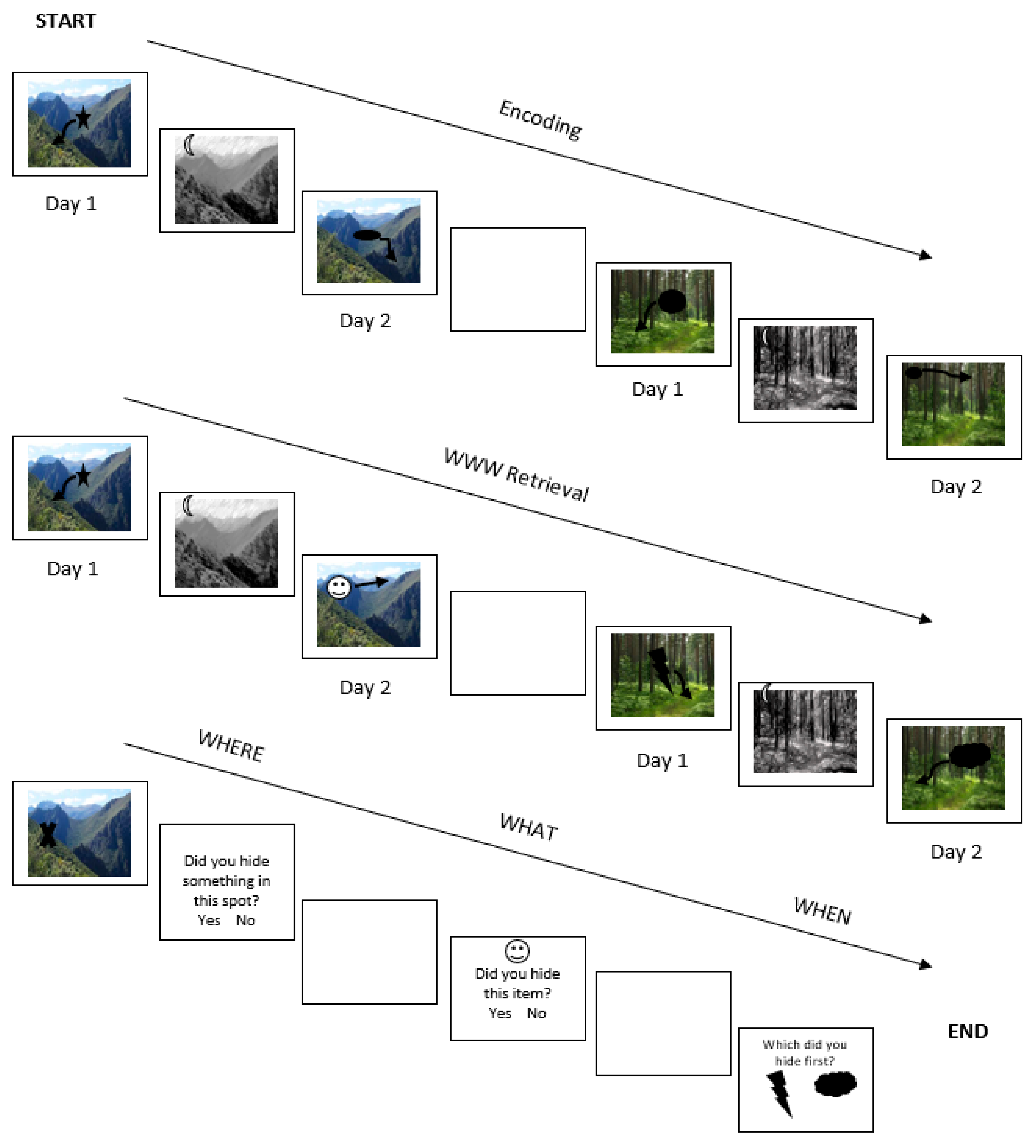 Medicina 55 00444 g002 Medicina 55 00444 g002