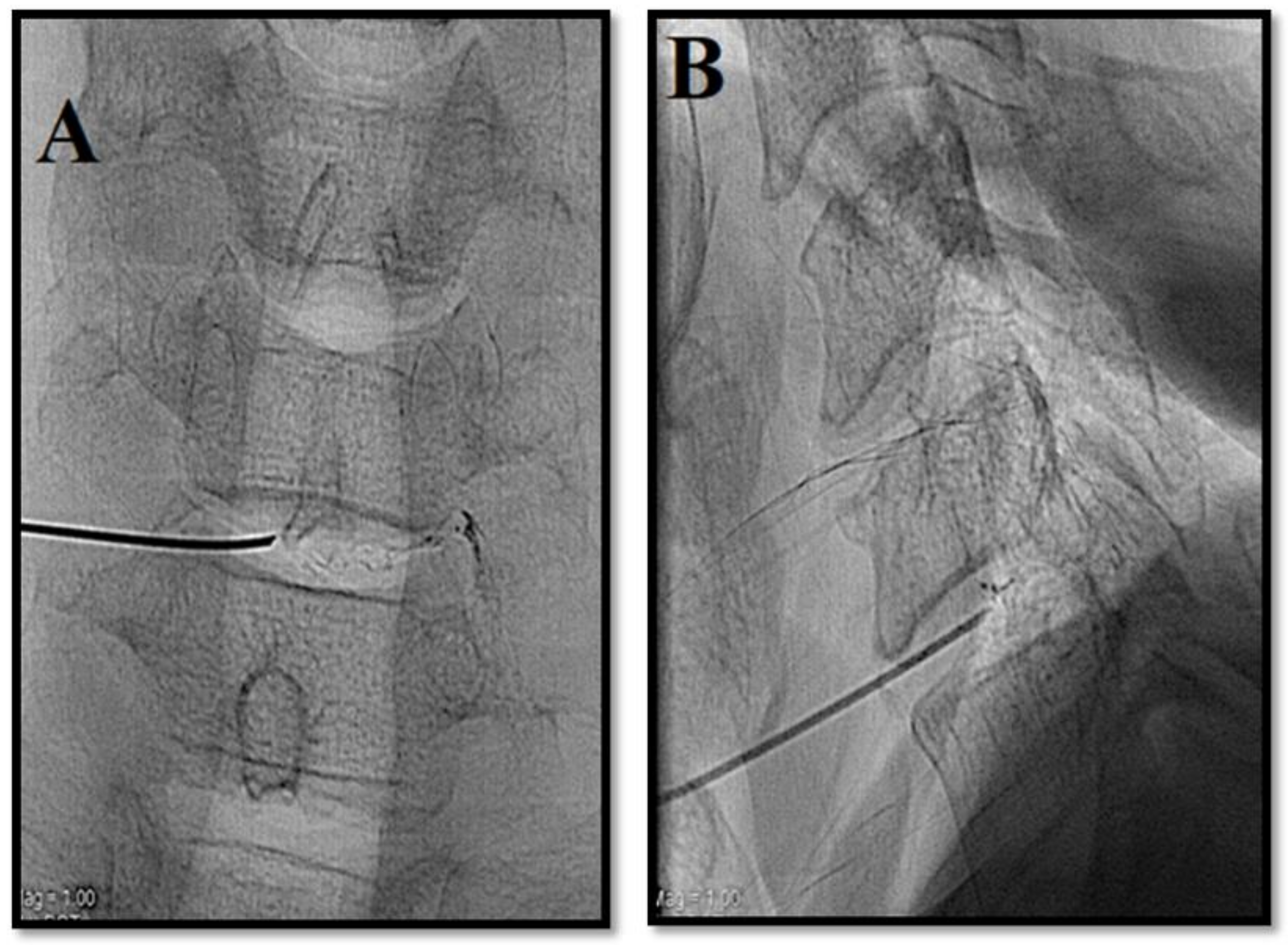 Medicina 55 00471 g007