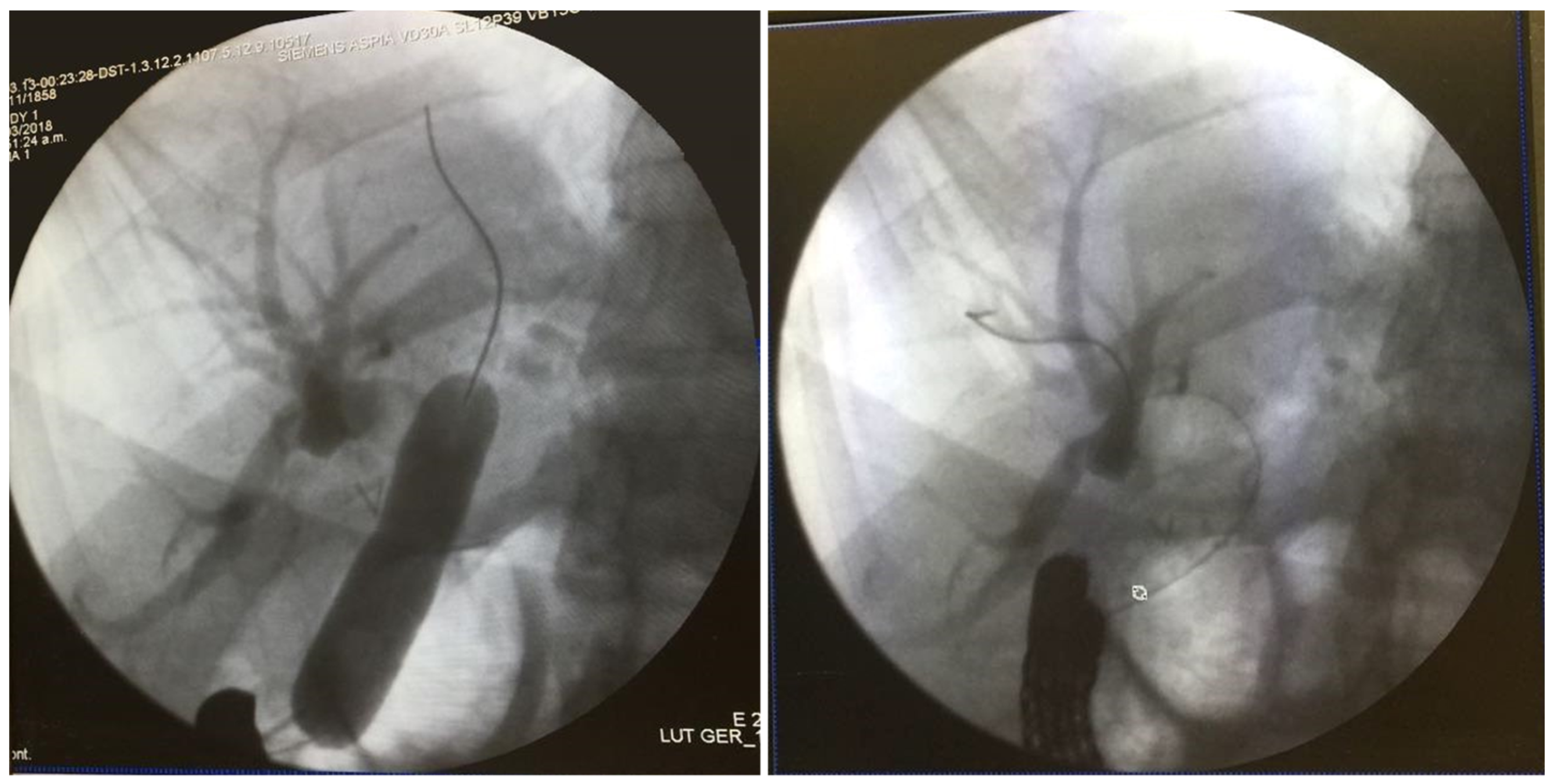 Medicina 55 00483 g003