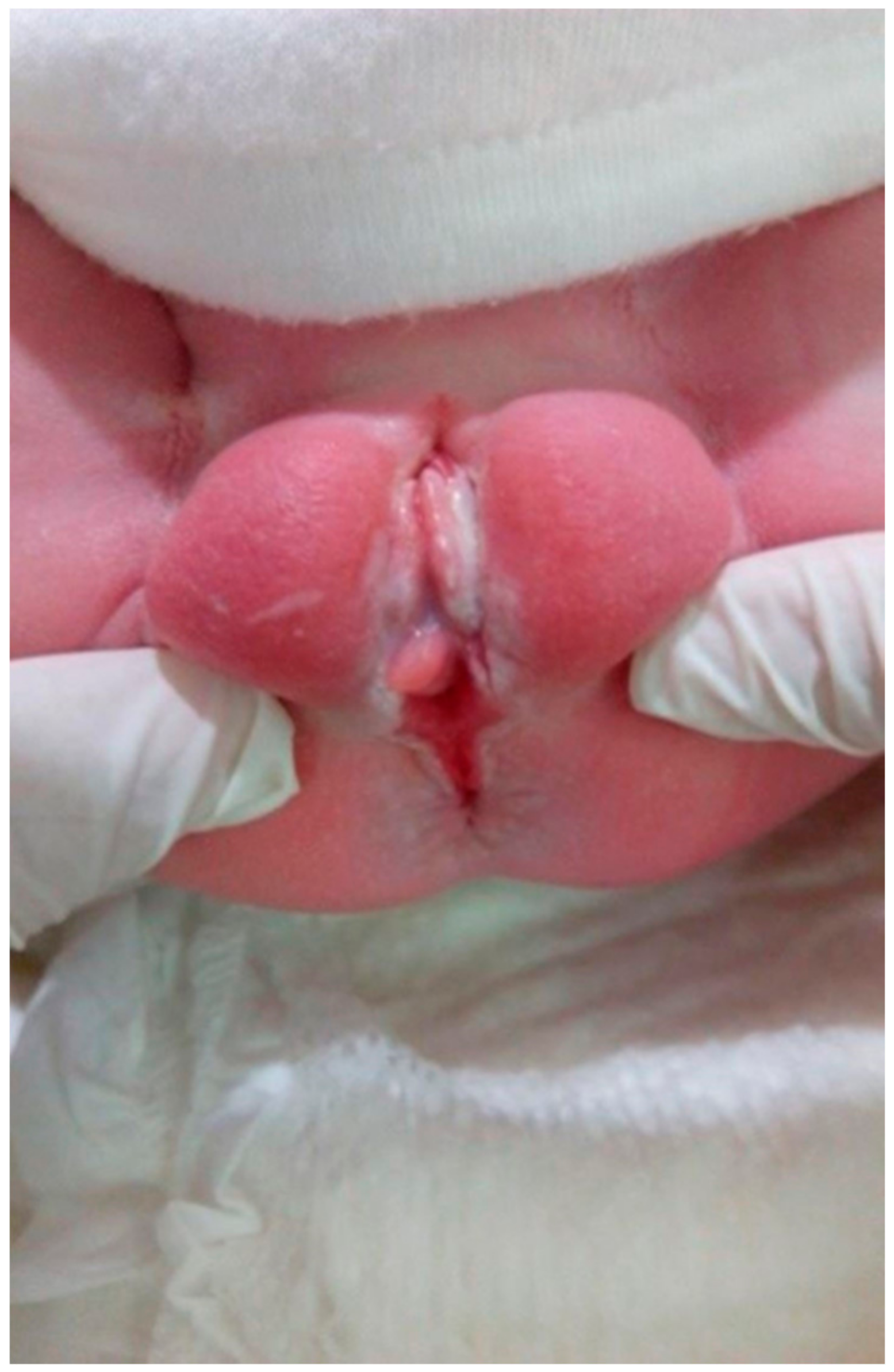 Medicina 55 00488 g001