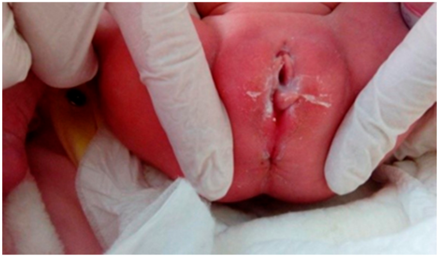 Medicina 55 00488 g002