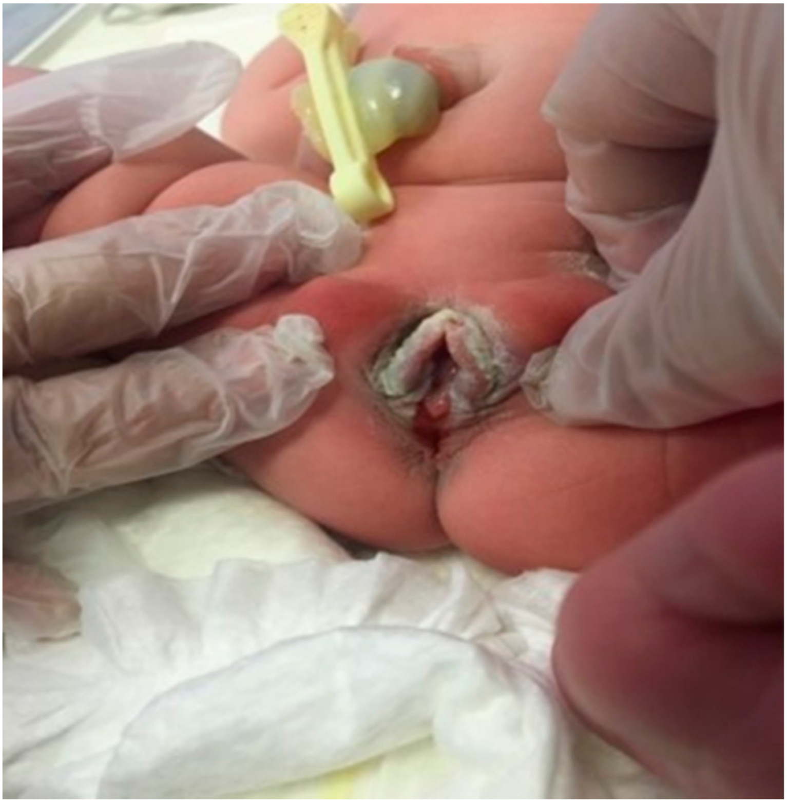 Medicina 55 00488 g003