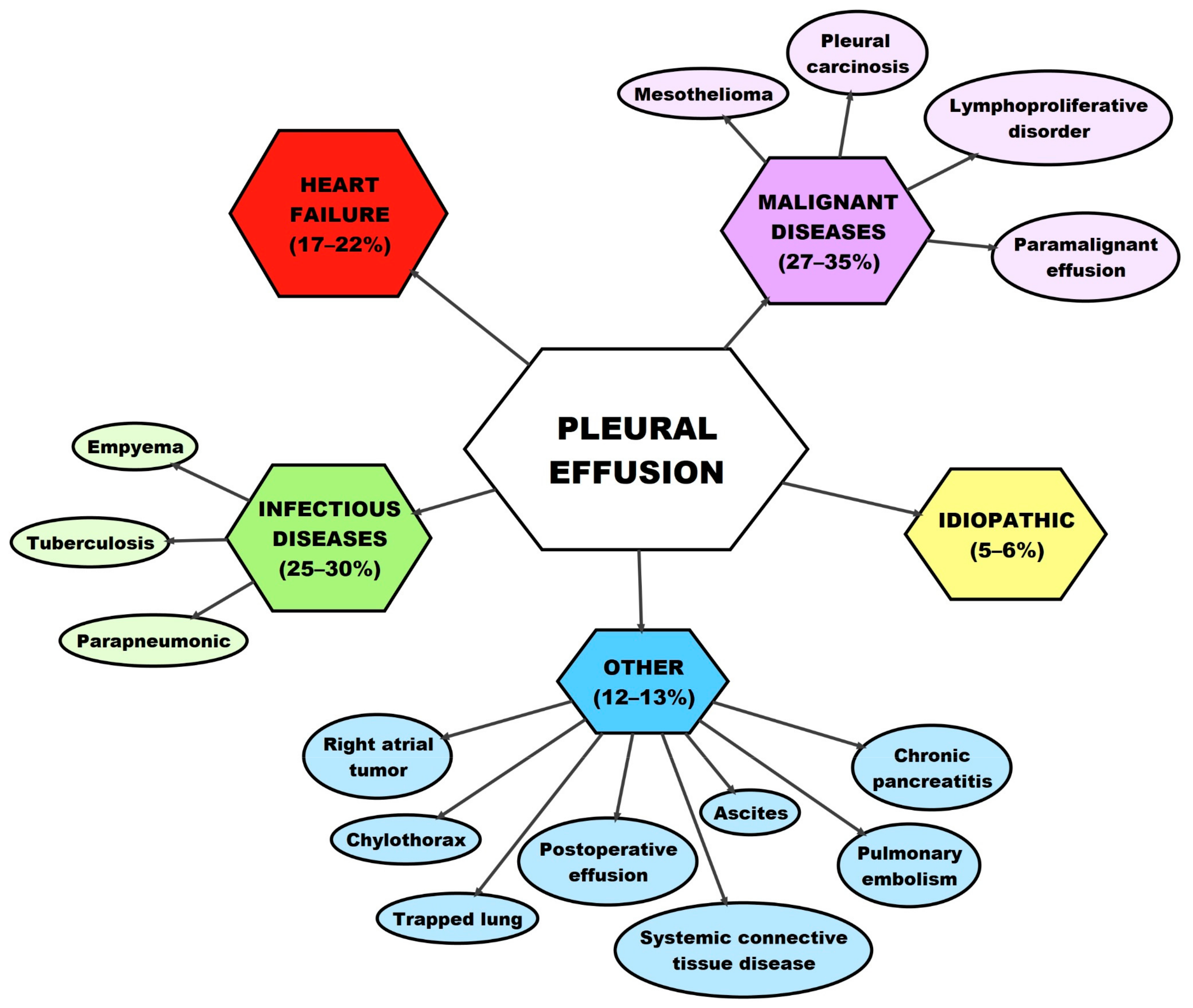 Medicina 55 00490 g002