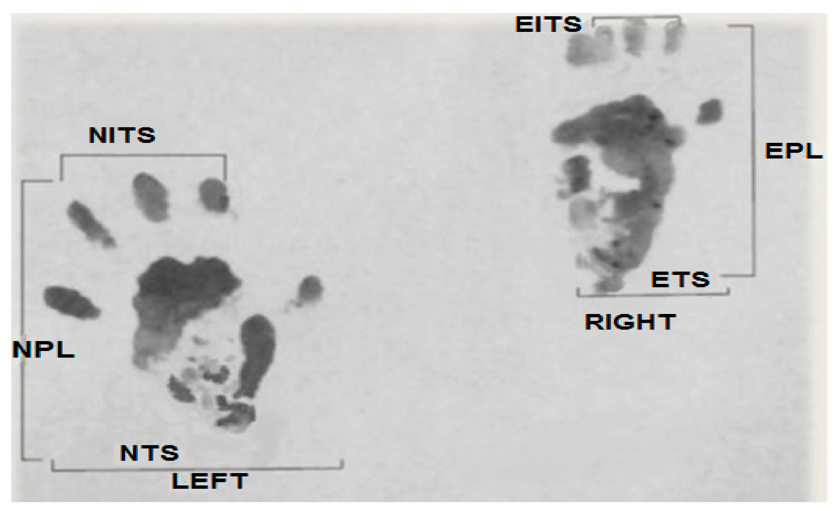 Medicina 55 00502 g001