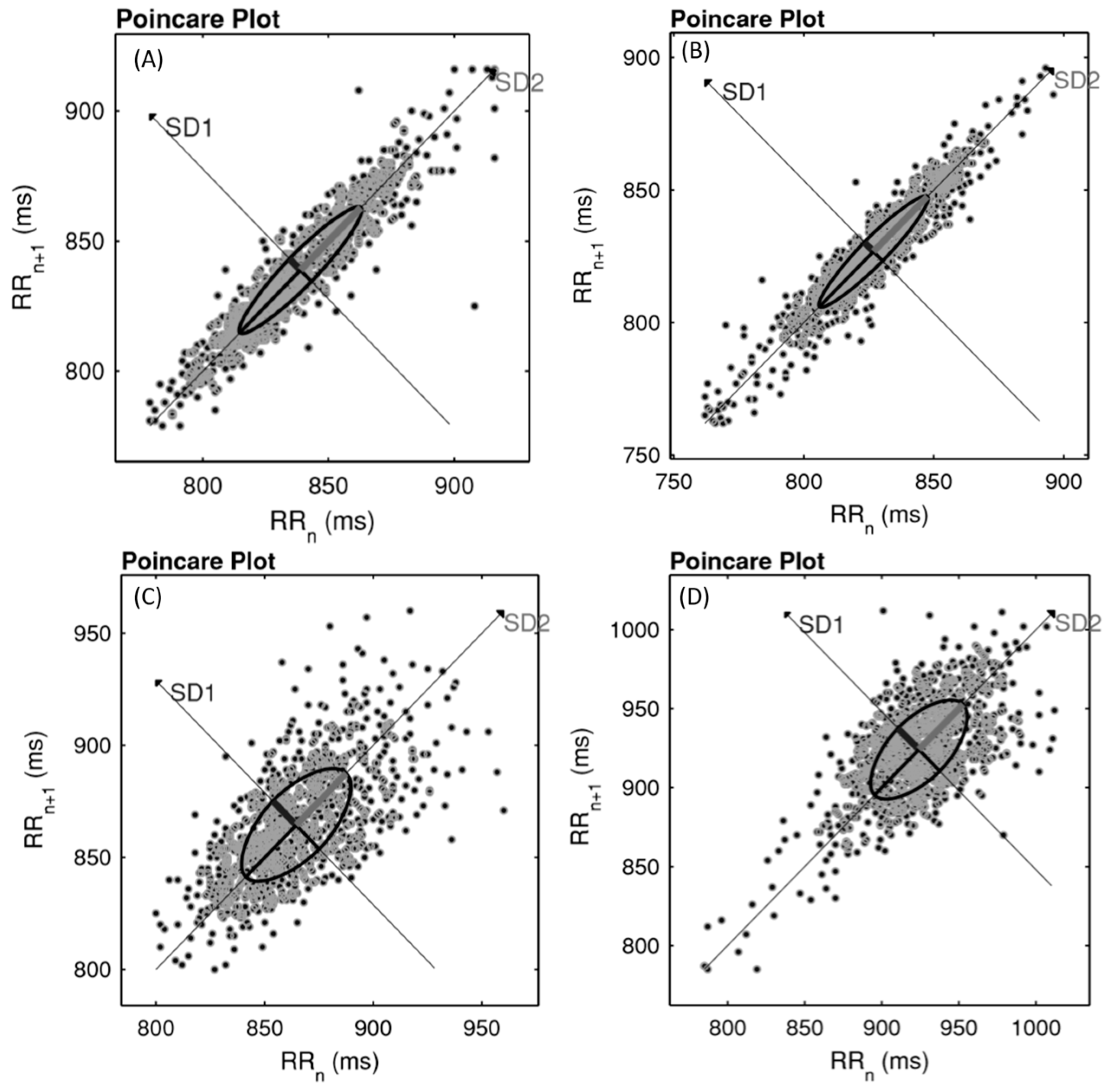 Medicina 55 00532 g002