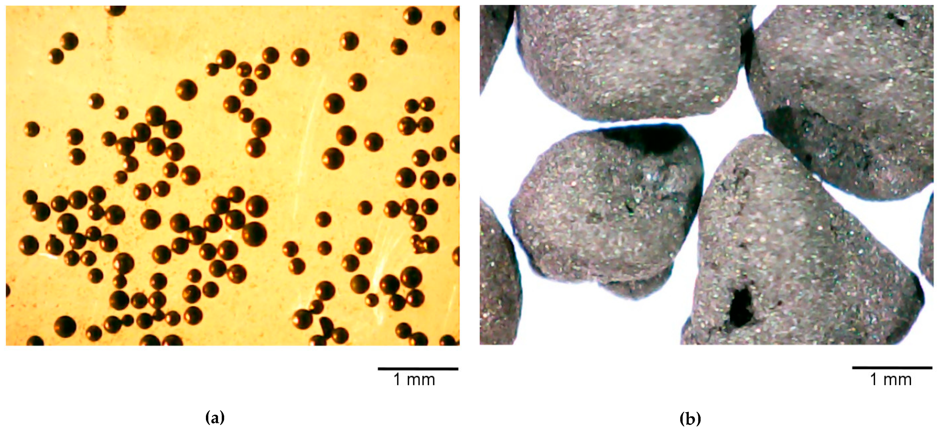 Medicina 55 00557 g001