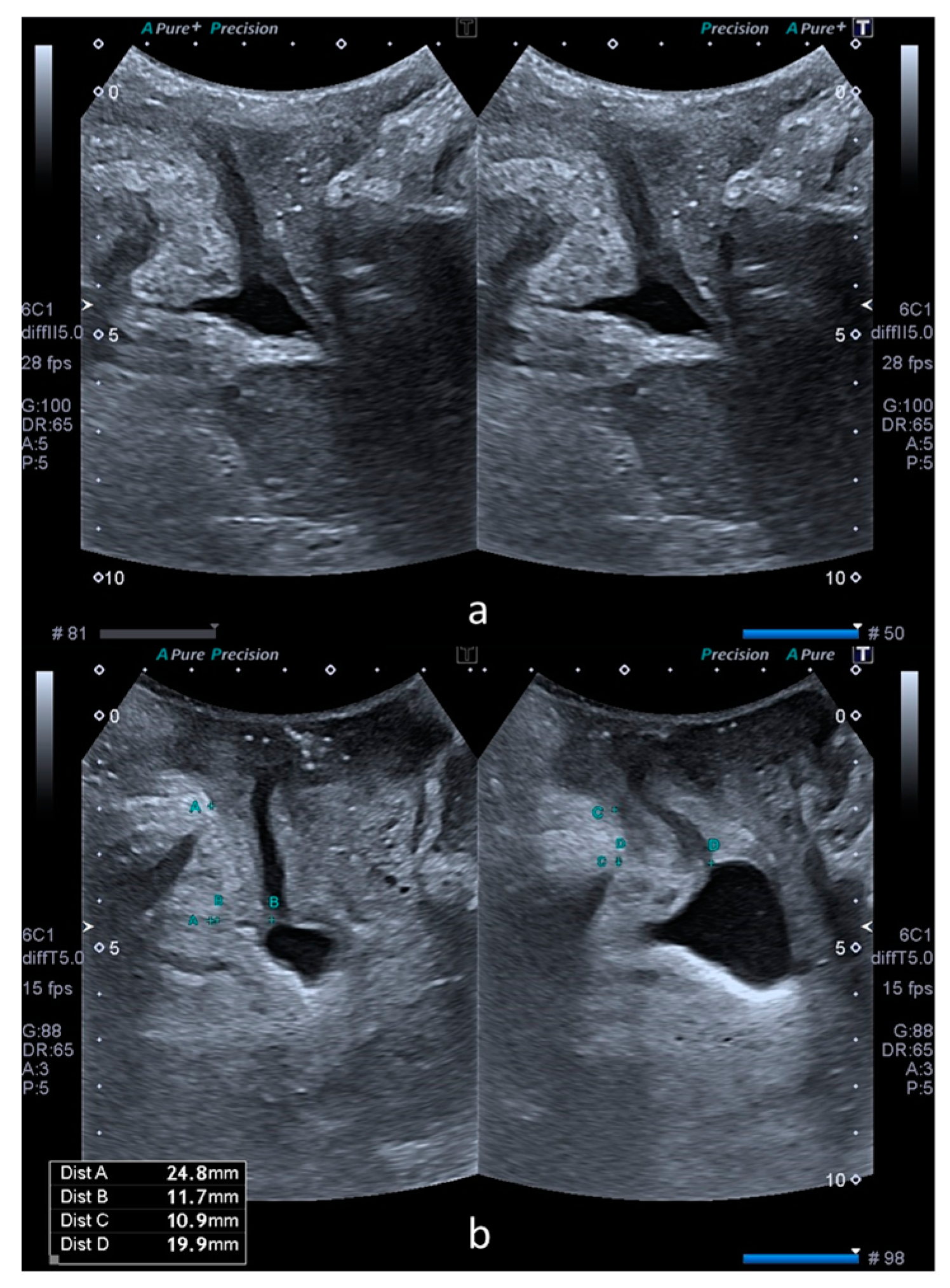 Medicina 55 00562 g001
