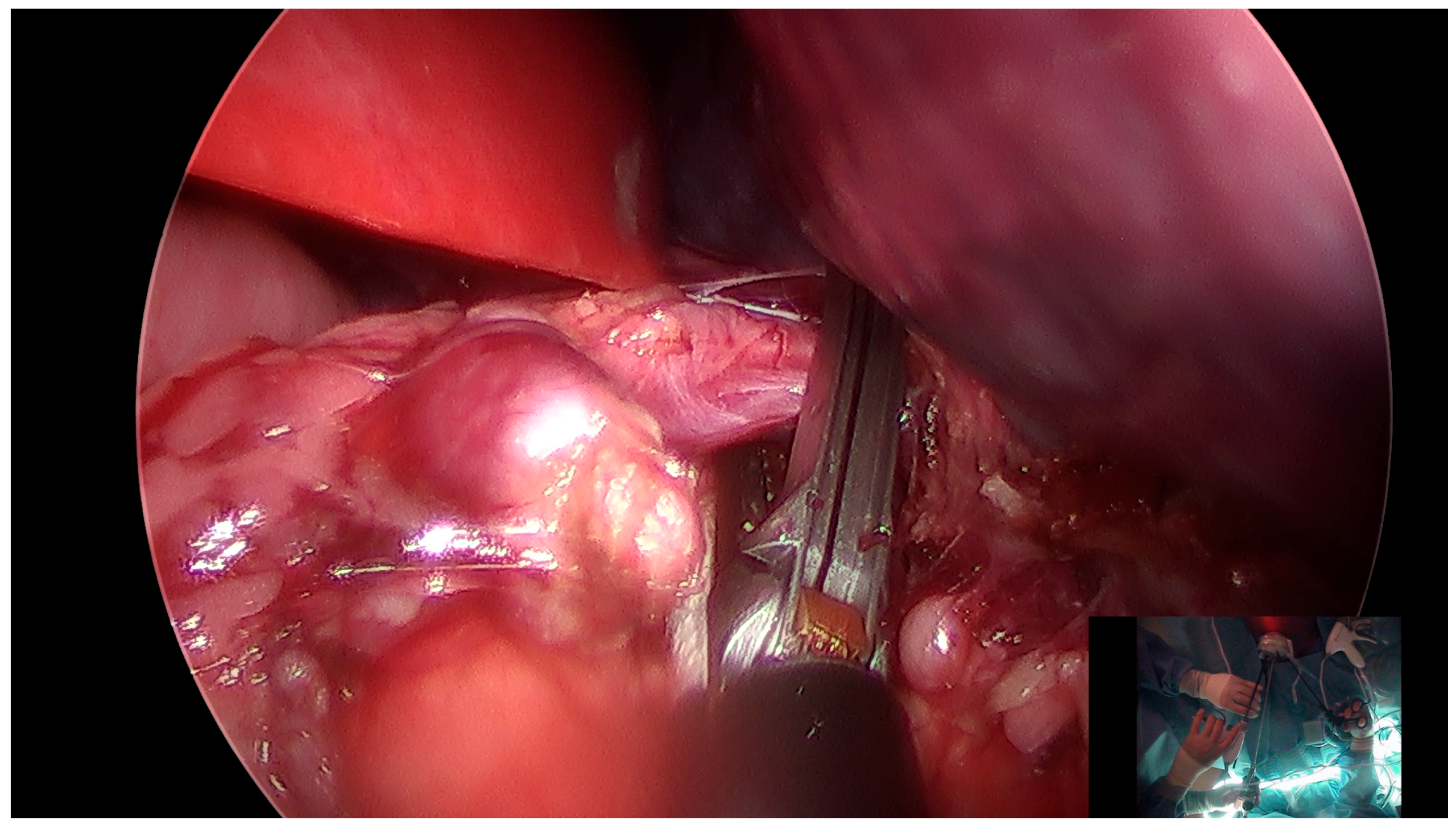 Medicina 55 00574 g001