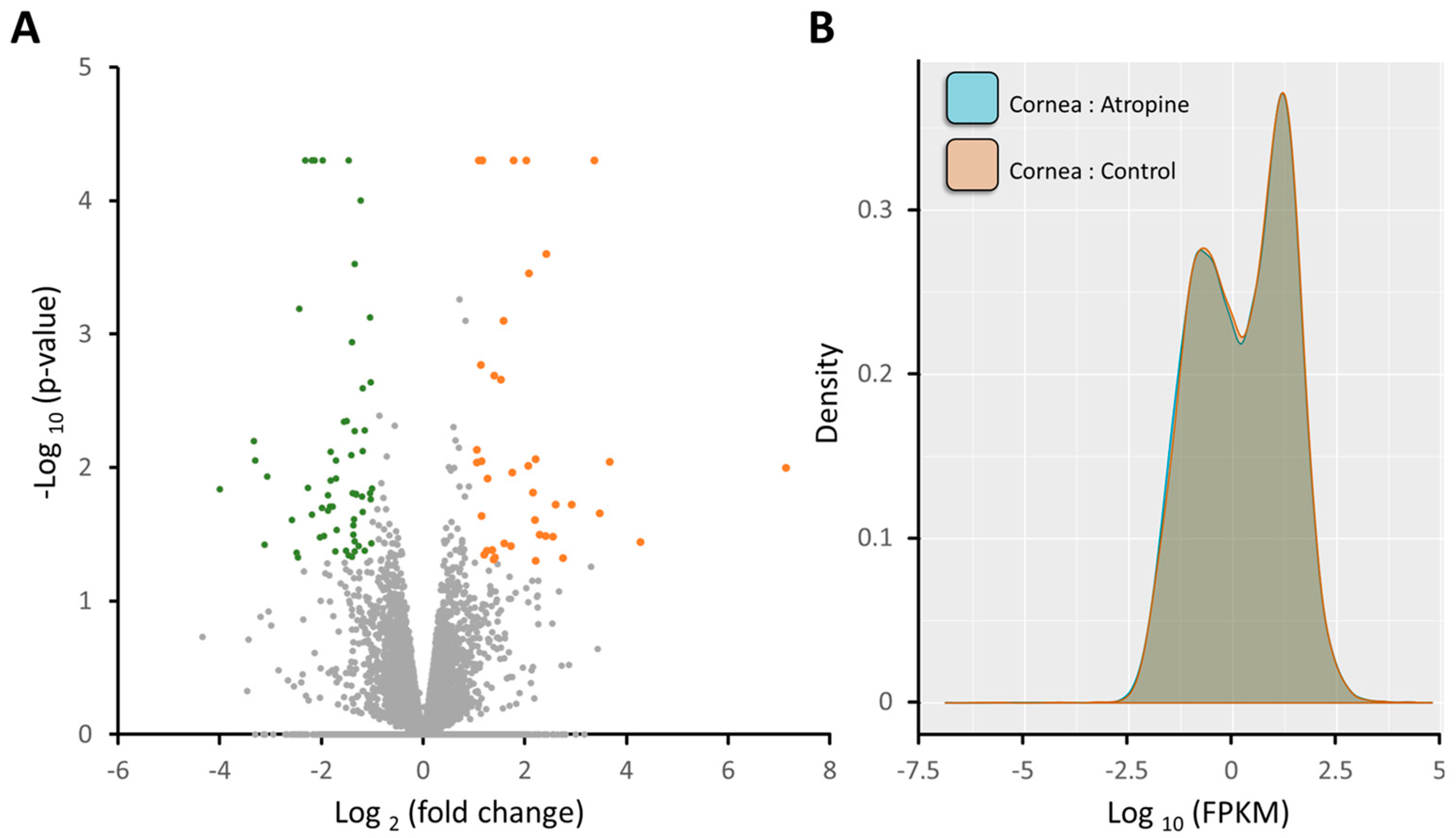 Medicina 55 00589 g002