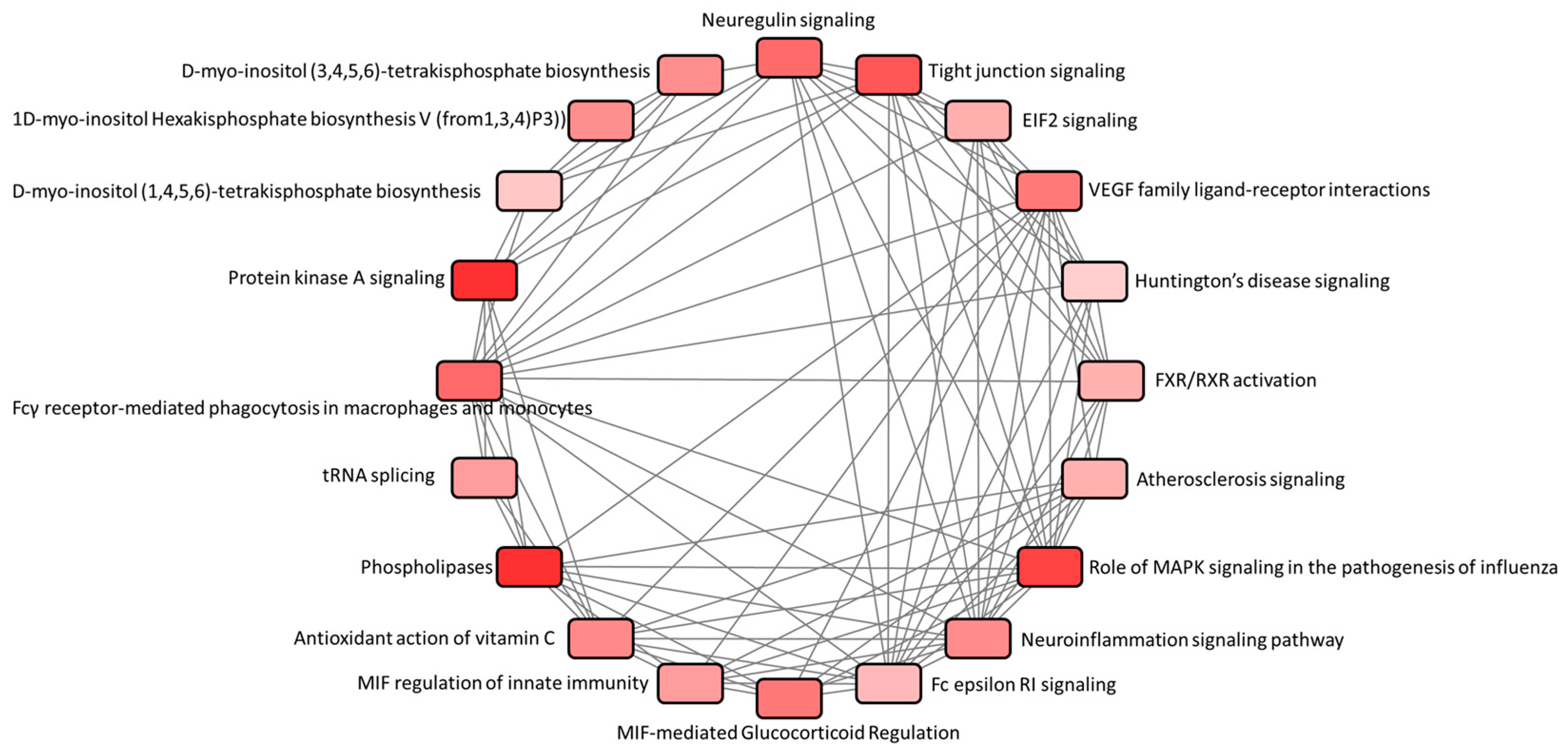 Medicina 55 00589 g003