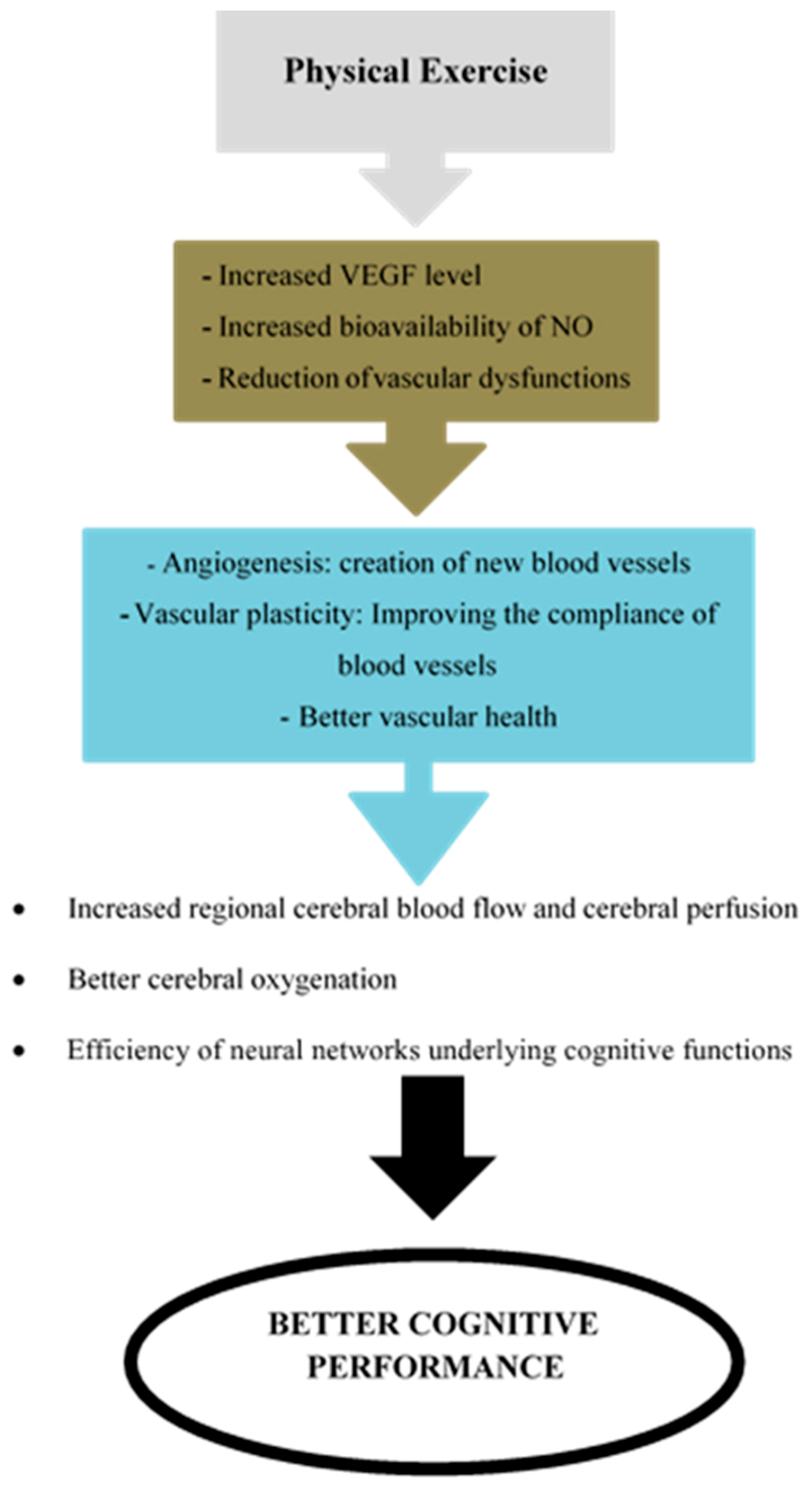 Medicina 55 00601 g001 Medicina 55 00601 g001