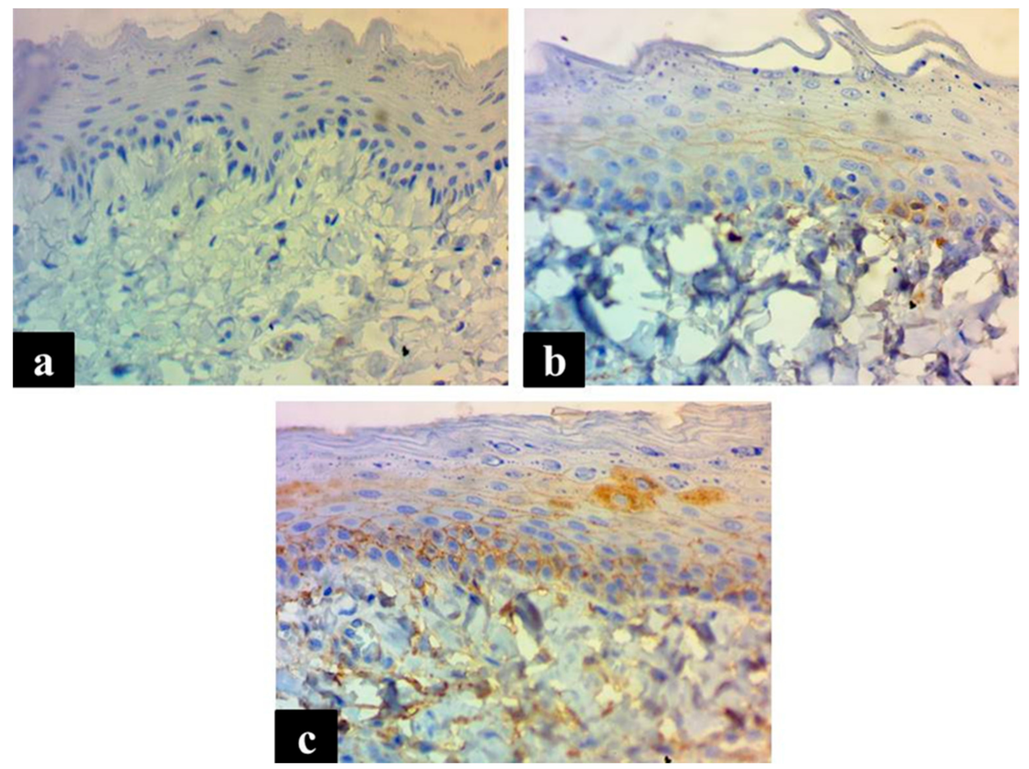 Medicina 55 00605 g001