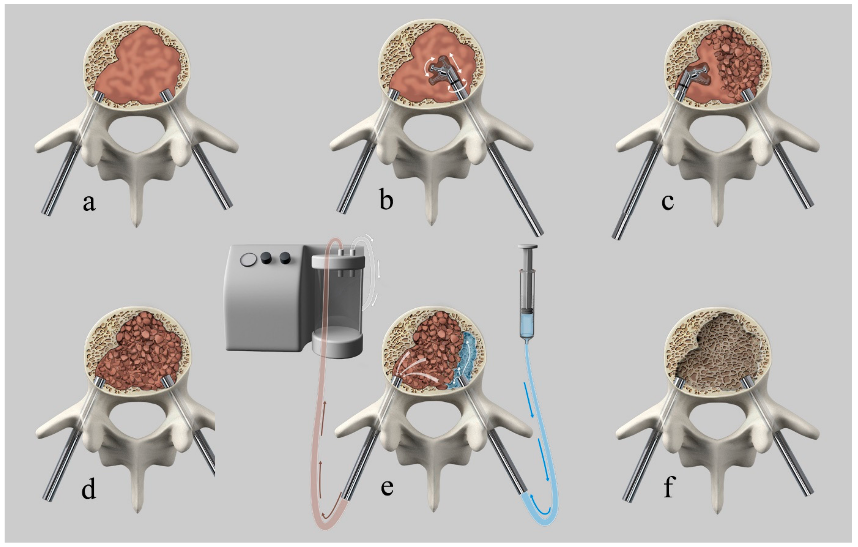 Medicina 55 00633 g001