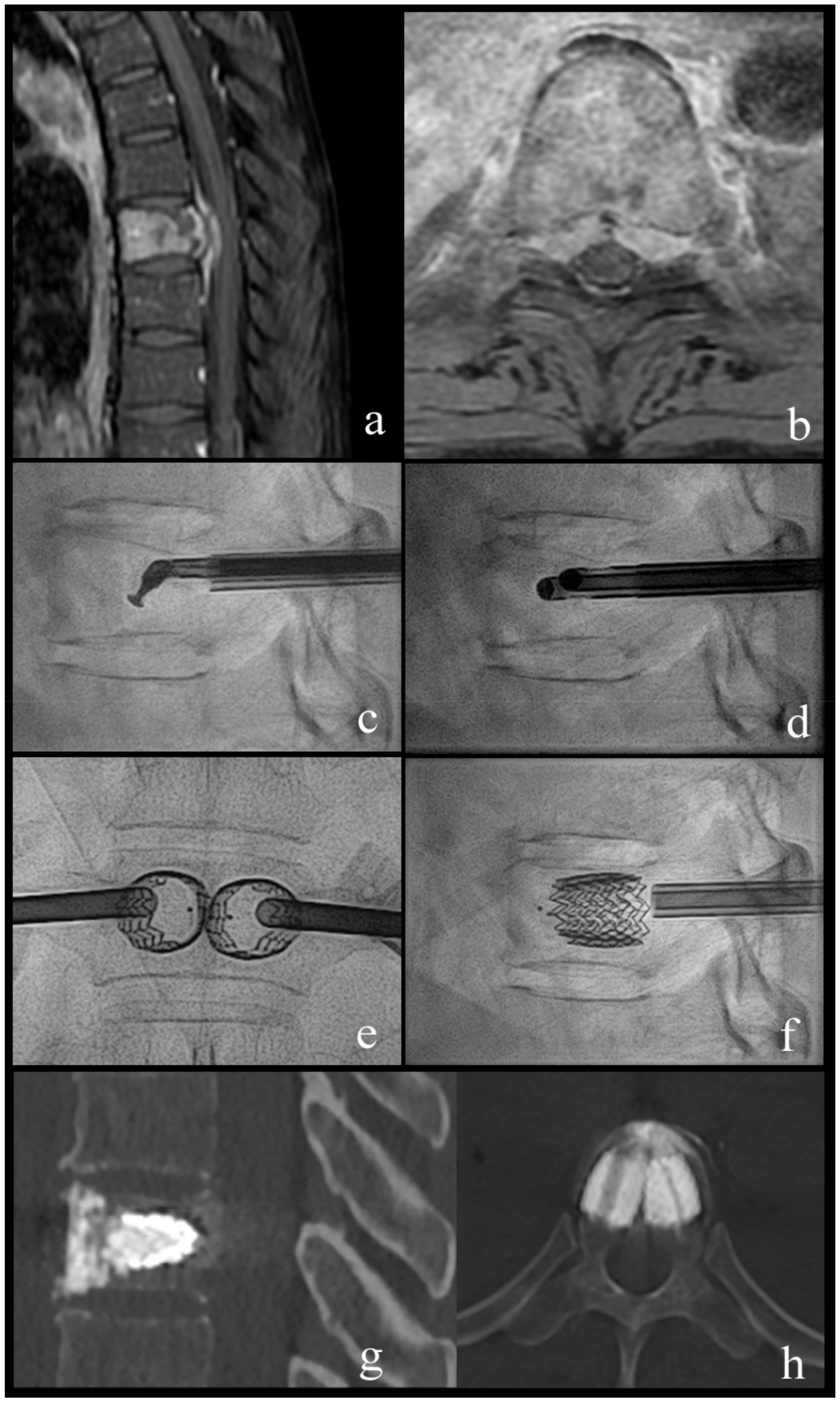 Medicina 55 00633 g002