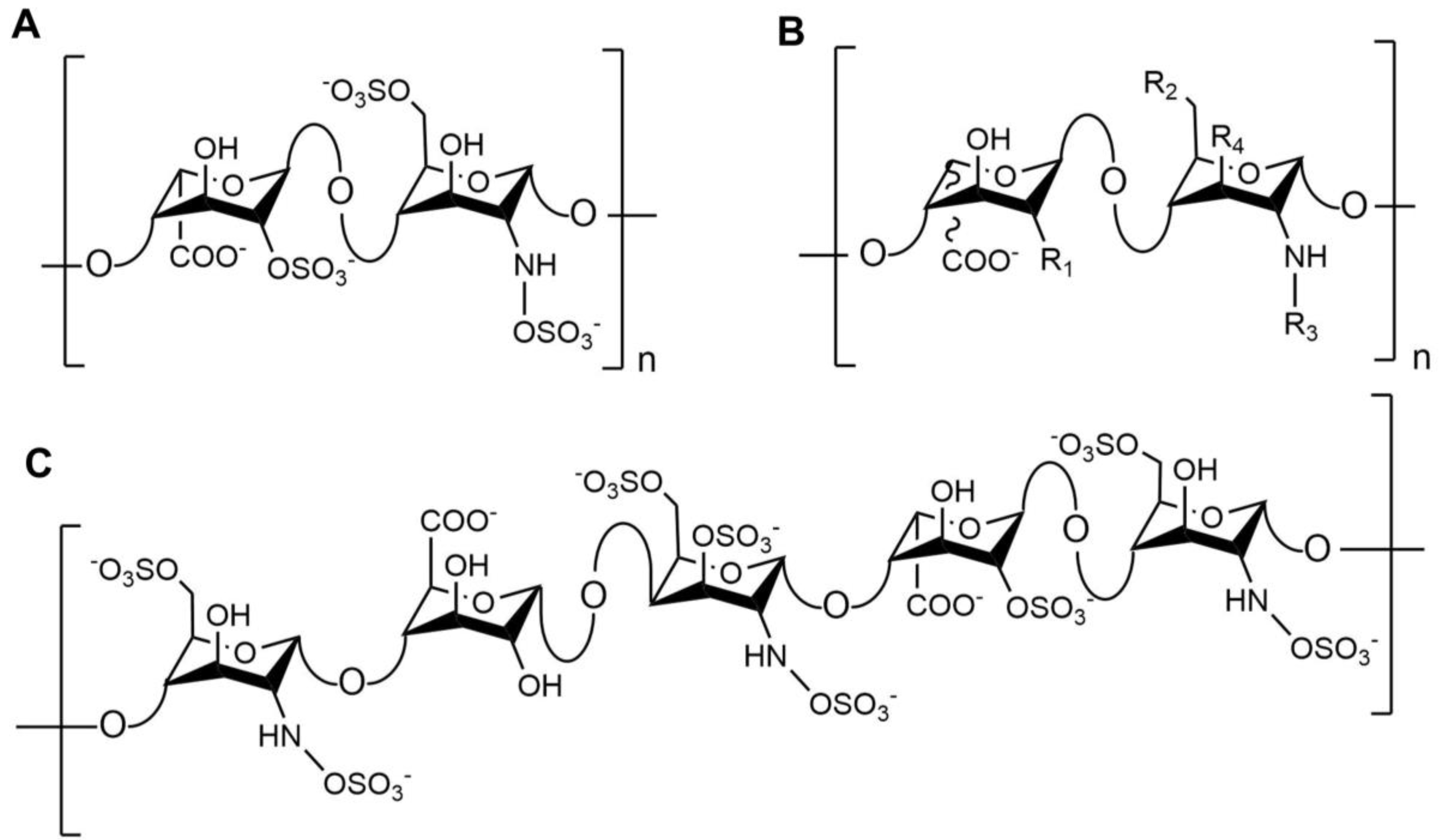 Medicina 55 00636 g001 Medicina 55 00636 g001