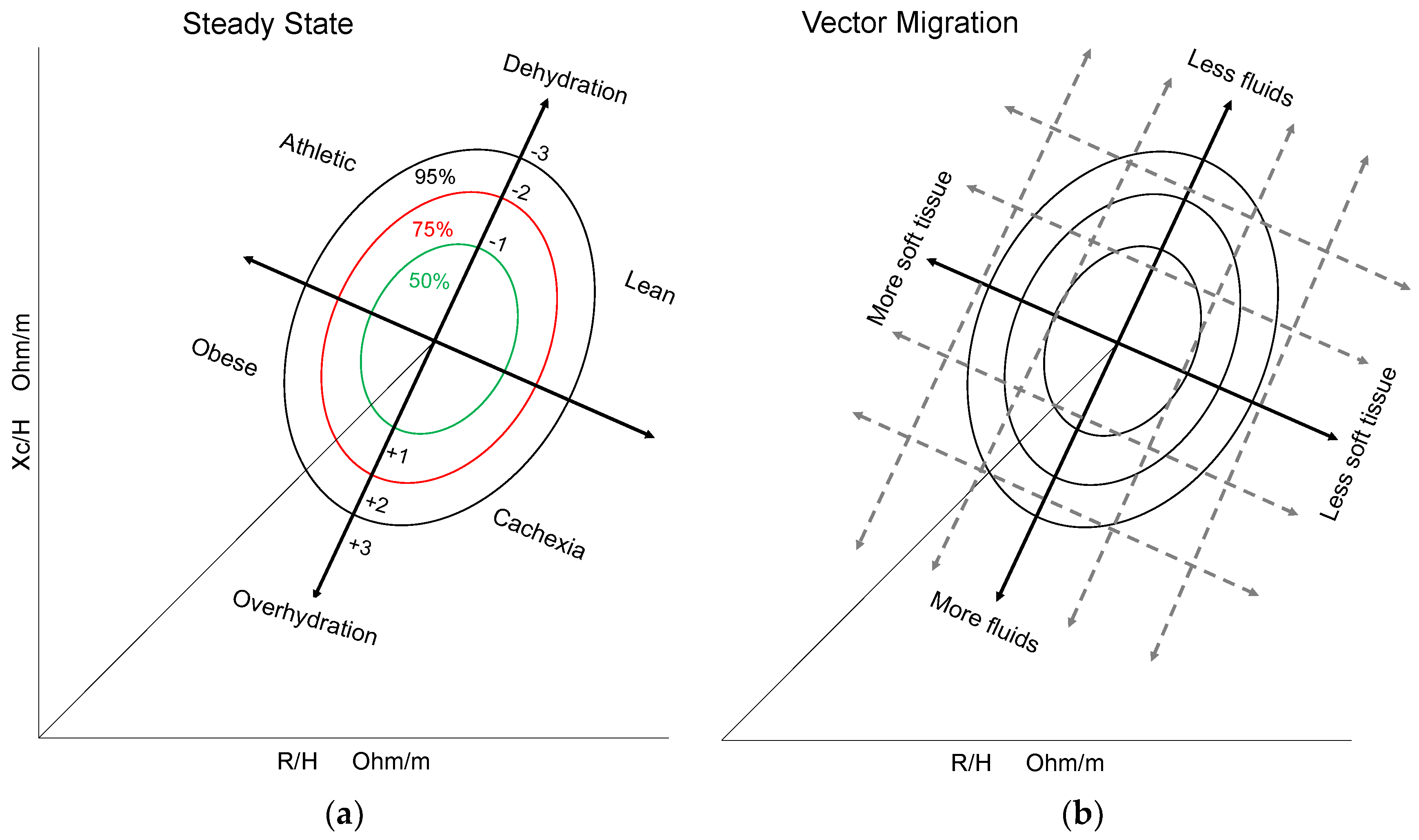 Medicina 55 00663 g001