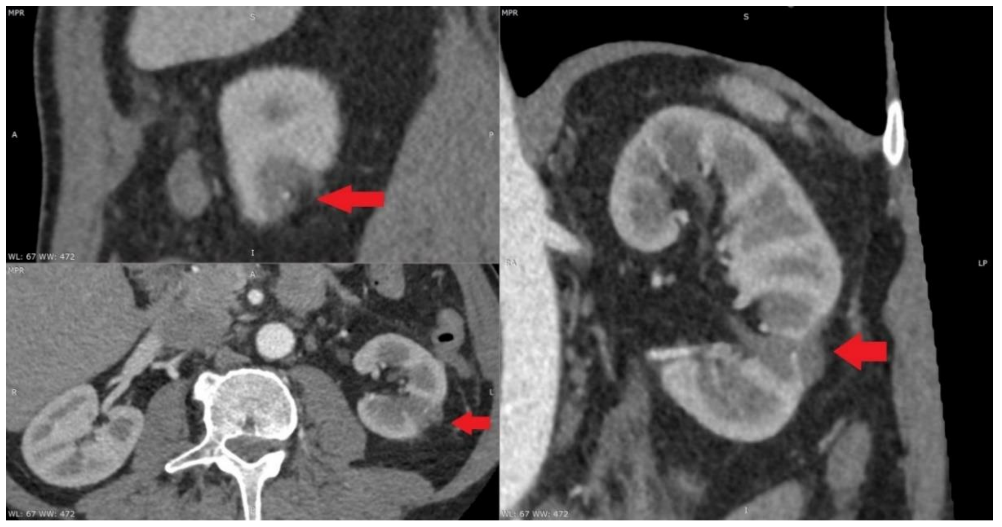 Medicina 55 00664 g002 Medicina 55 00664 g002