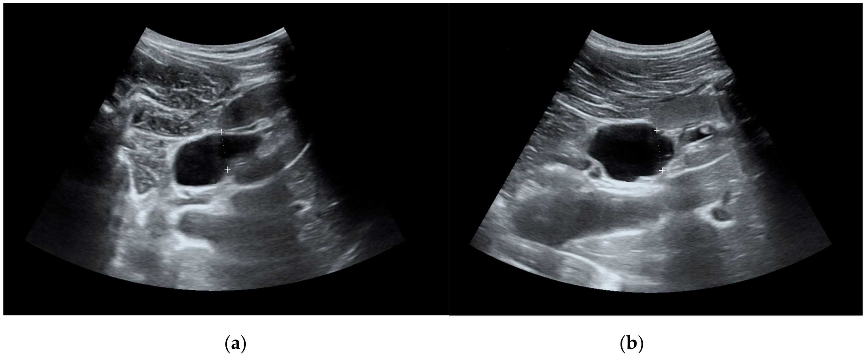 Medicina 55 00670 g001