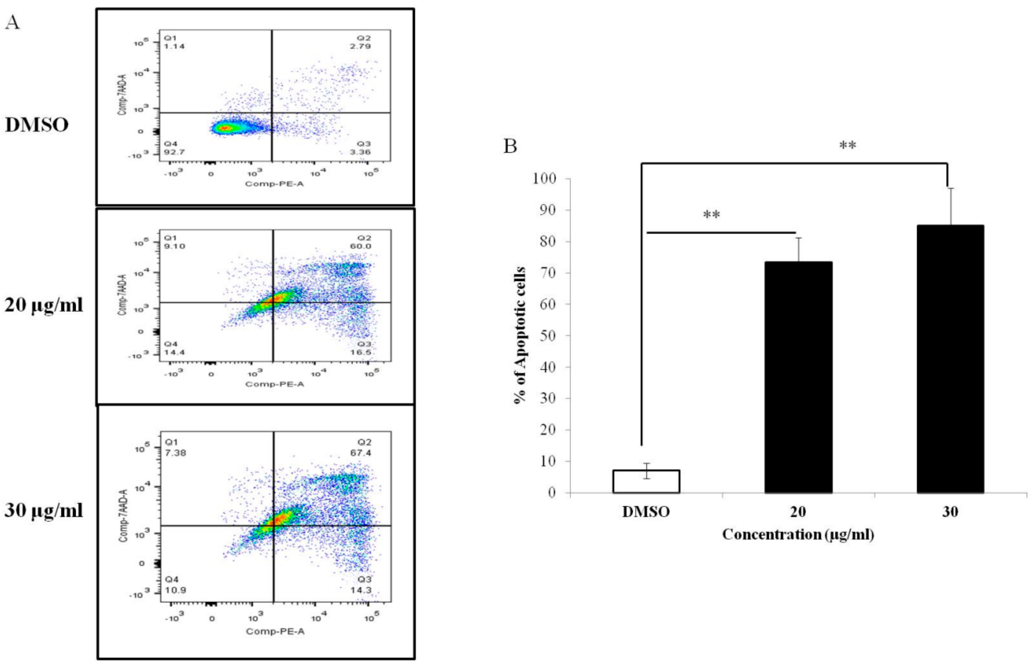 Medicina 55 00716 g003