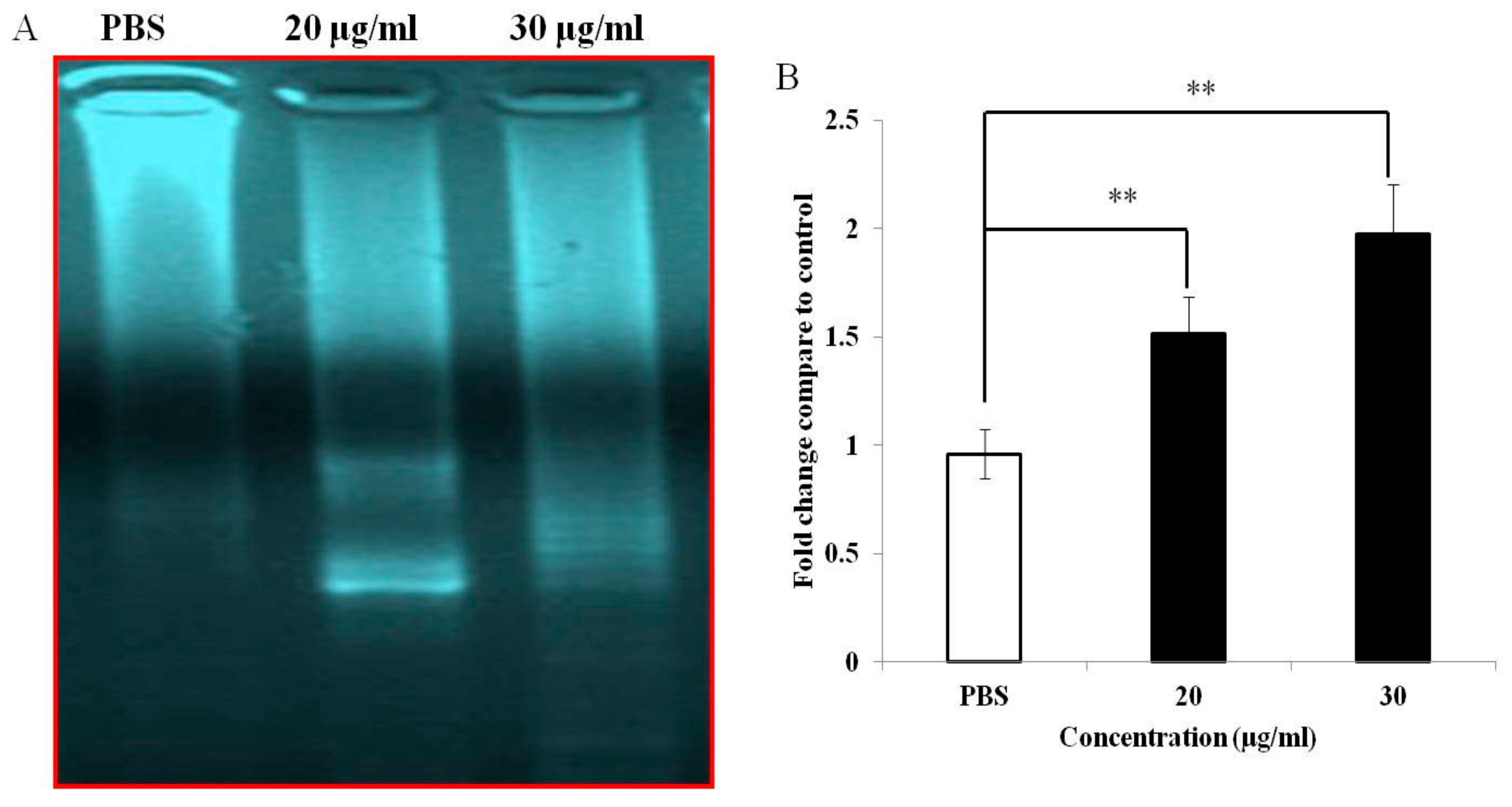 Medicina 55 00716 g004