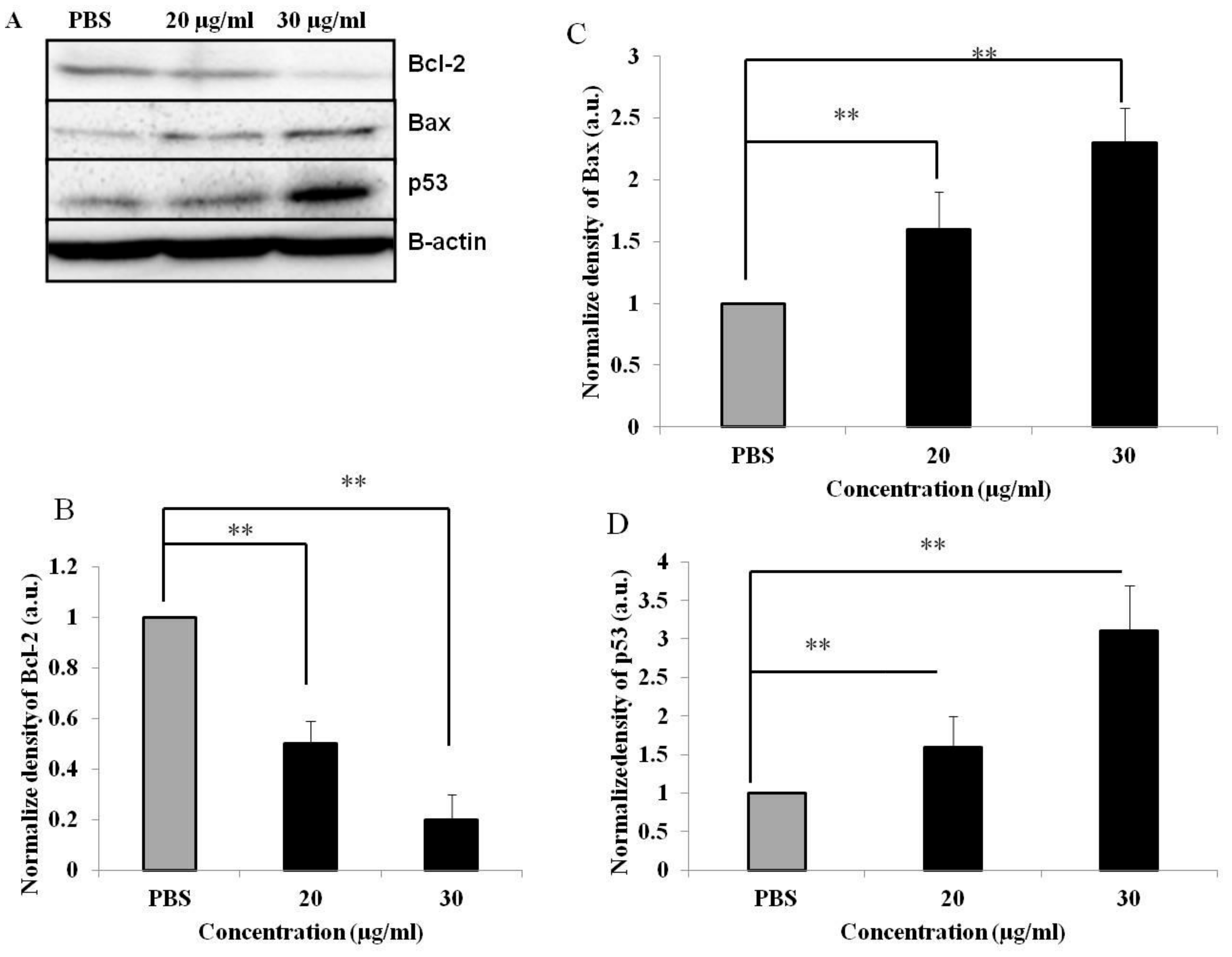 Medicina 55 00716 g005