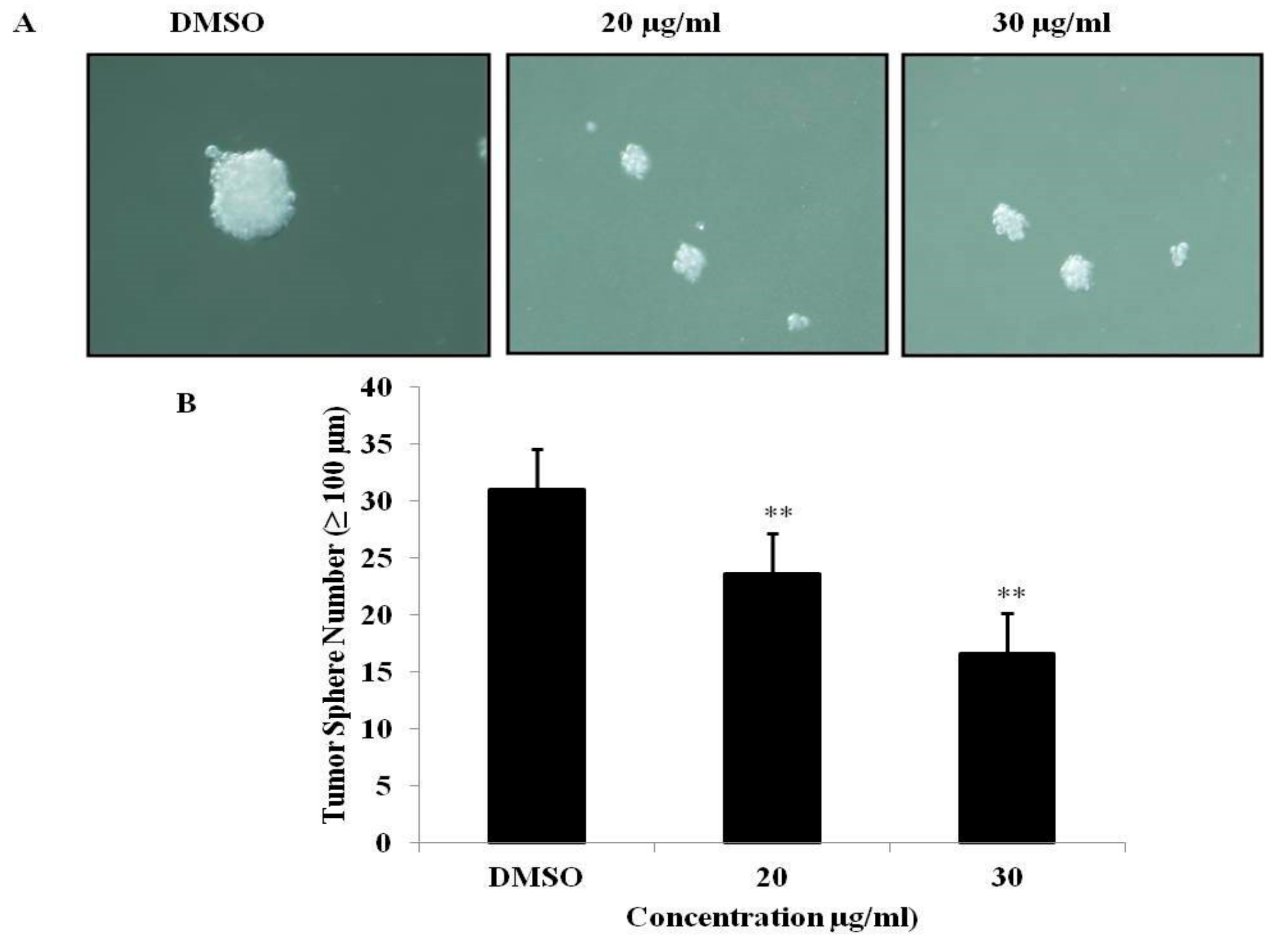 Medicina 55 00716 g006