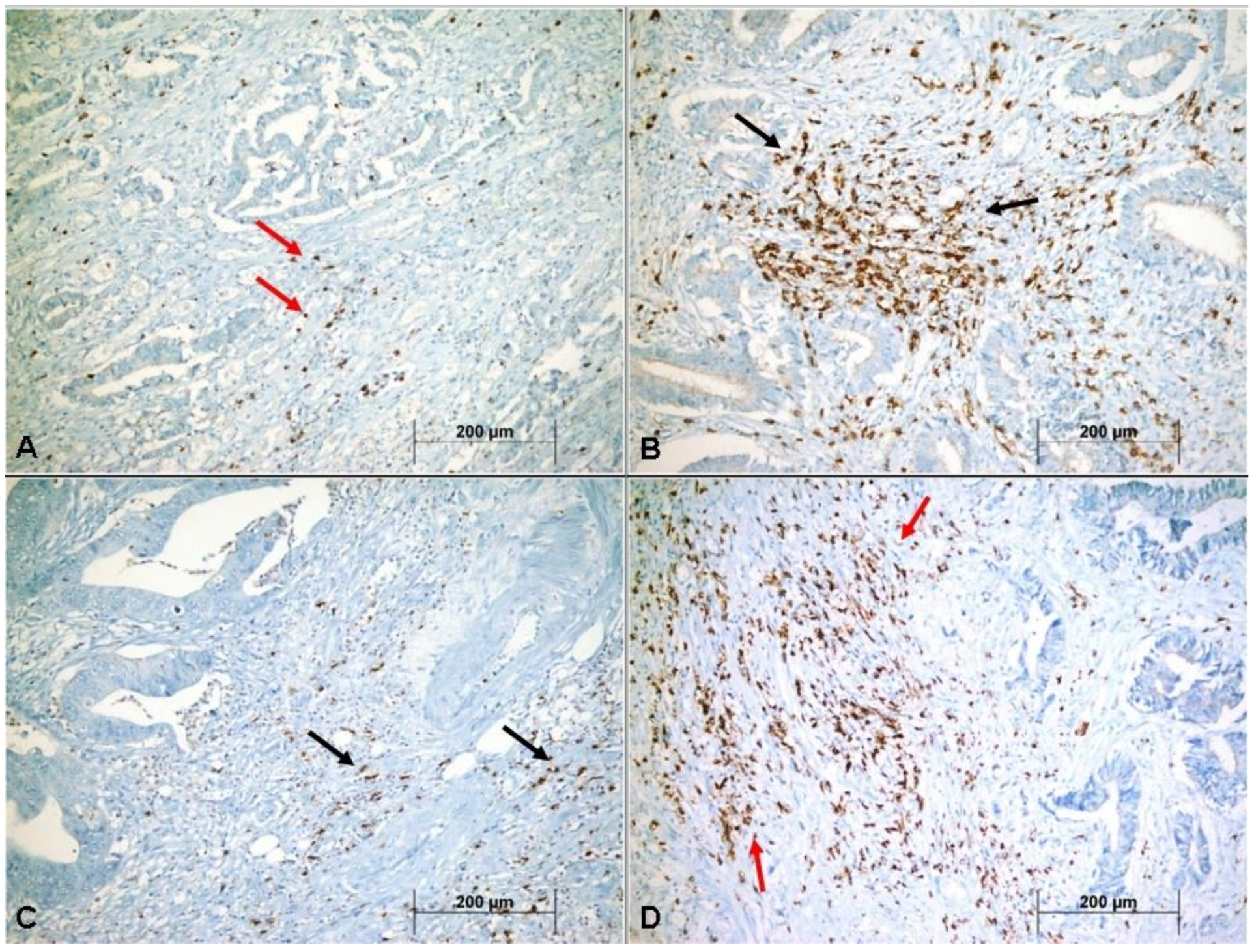 Medicina 55 00723 g001