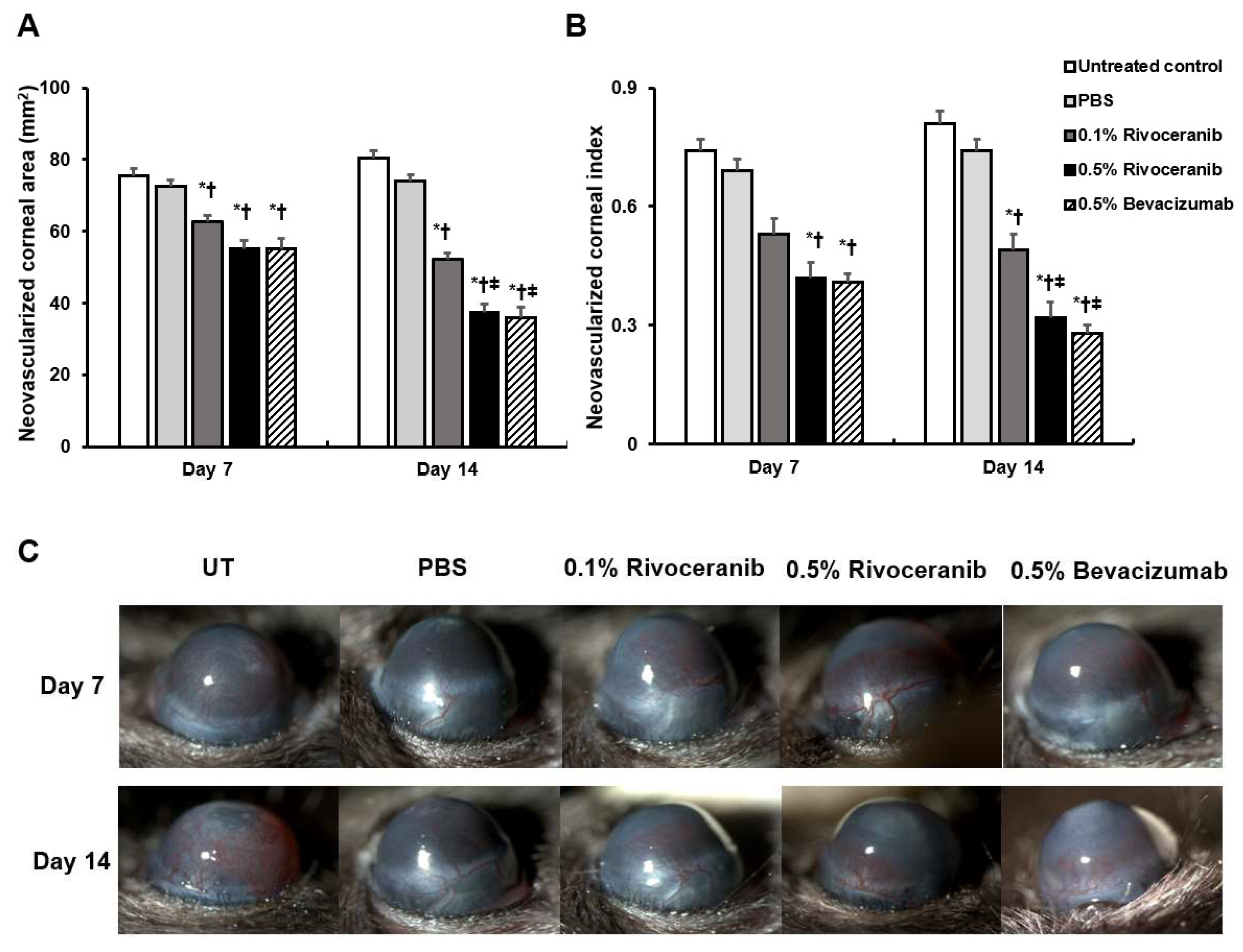 Medicina 55 00729 g001