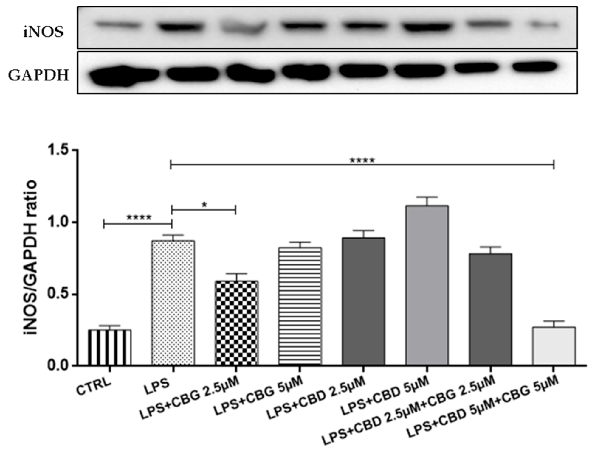 Medicina 55 00747 g005