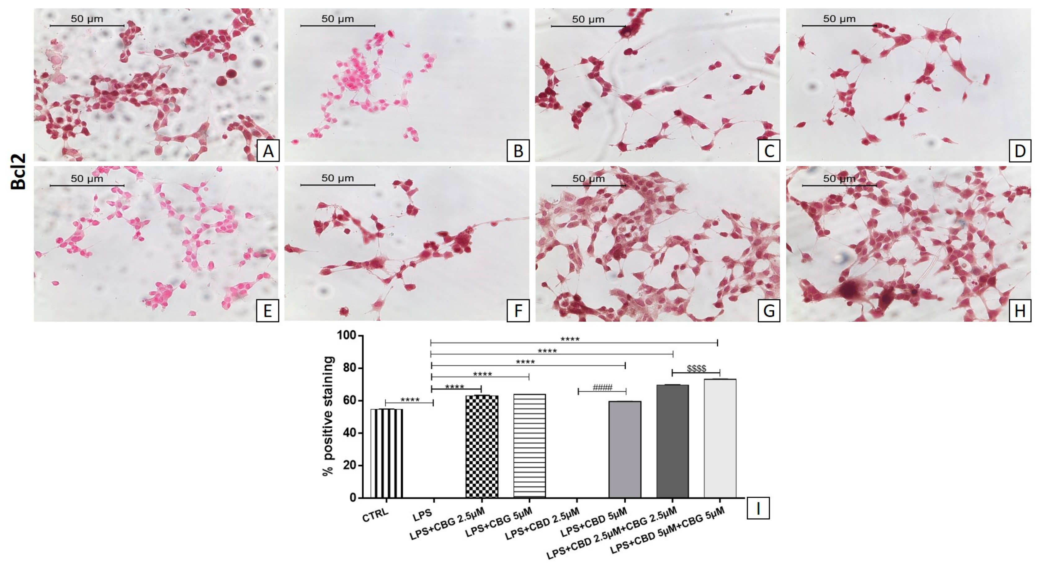 Medicina 55 00747 g008
