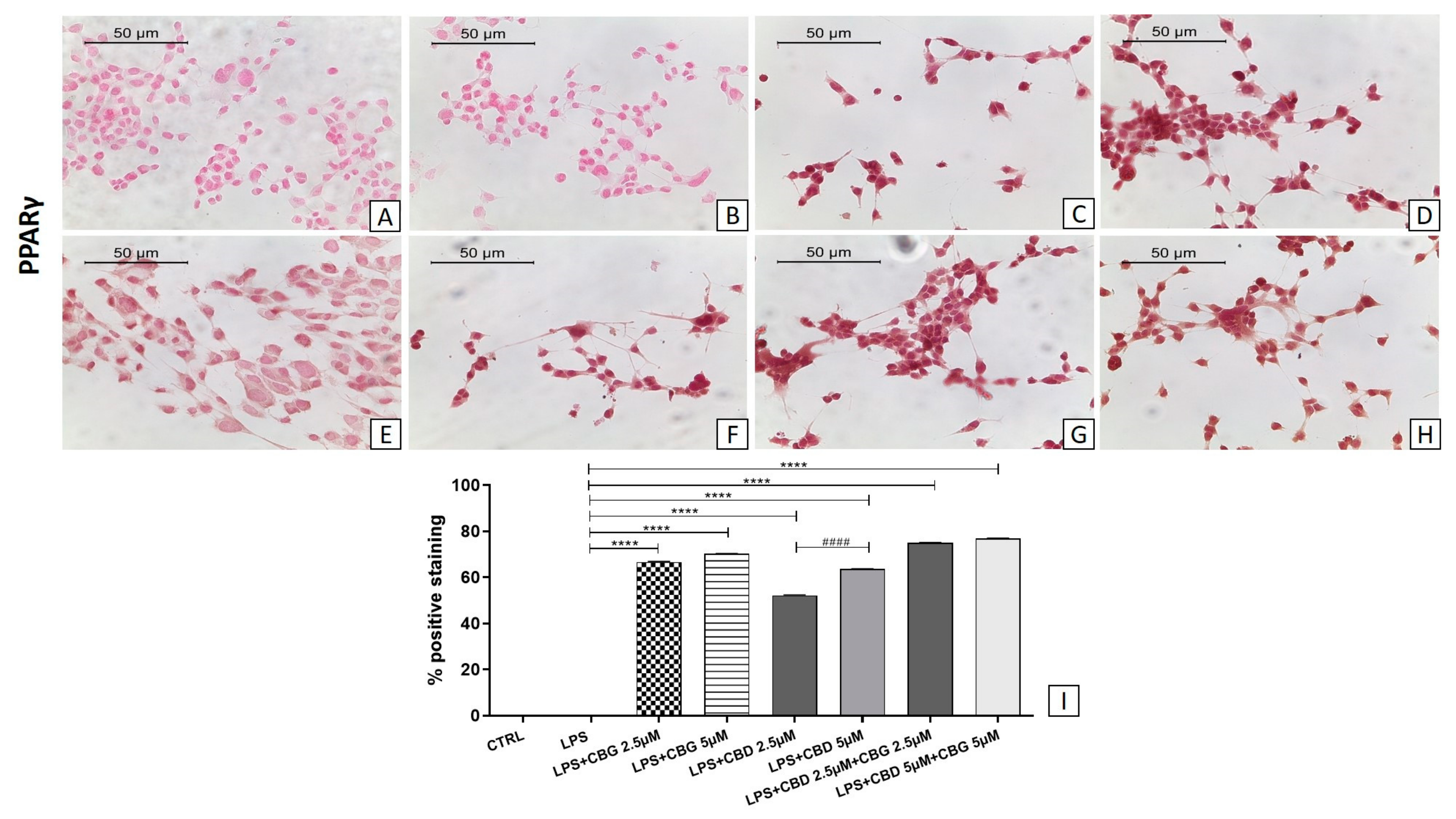 Medicina 55 00747 g009