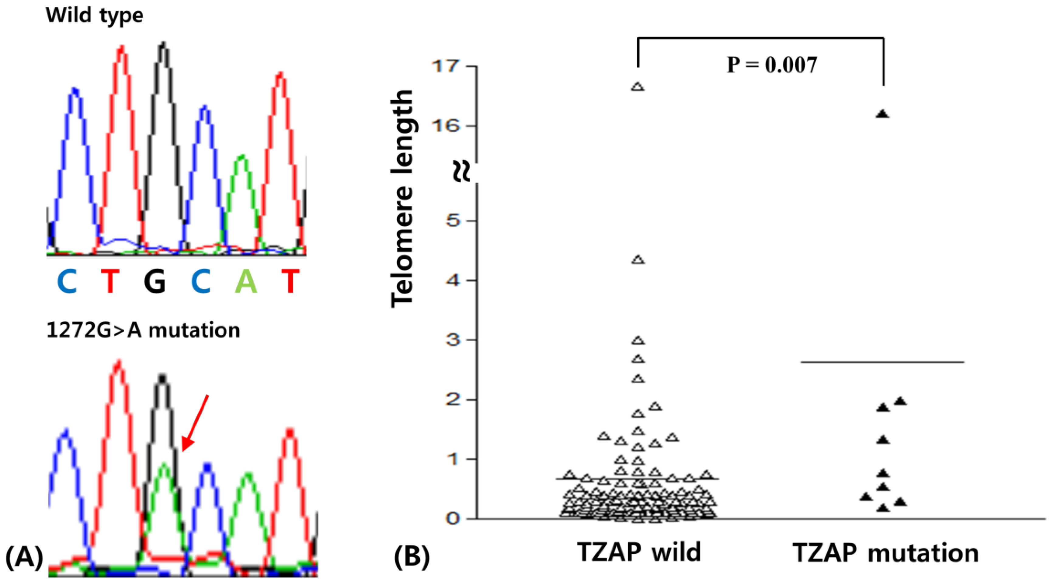 Medicina 55 00748 g001 Medicina 55 00748 g001
