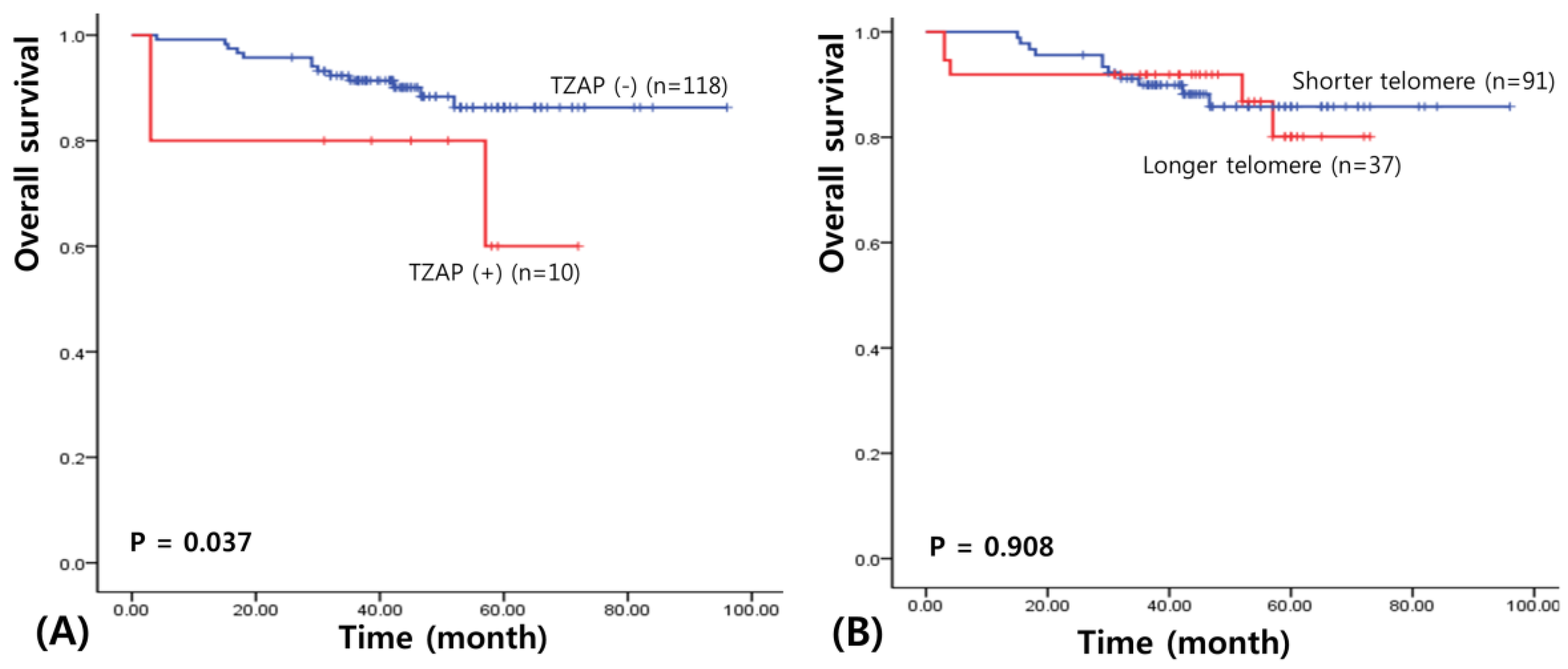 Medicina 55 00748 g002 Medicina 55 00748 g002