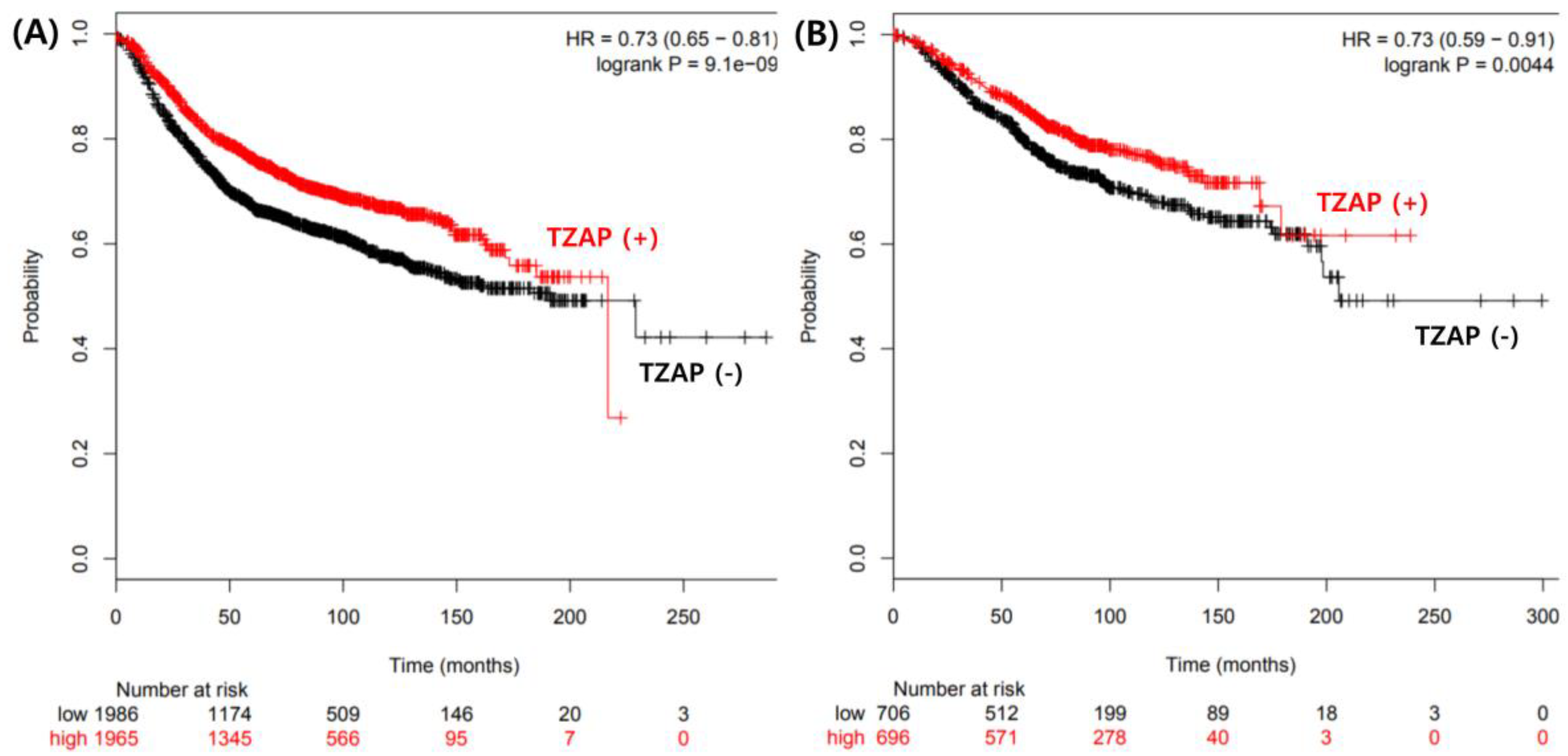 Medicina 55 00748 g003 Medicina 55 00748 g003