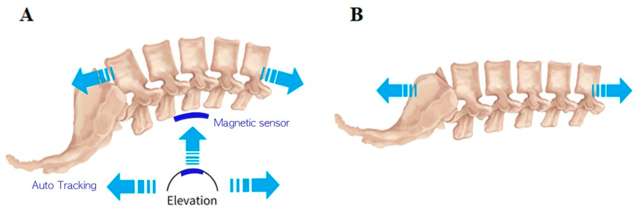 Medicina 56 00004 g001