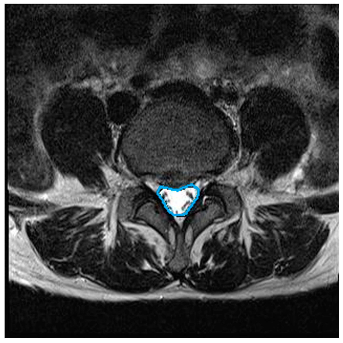 Medicina 56 00004 g002